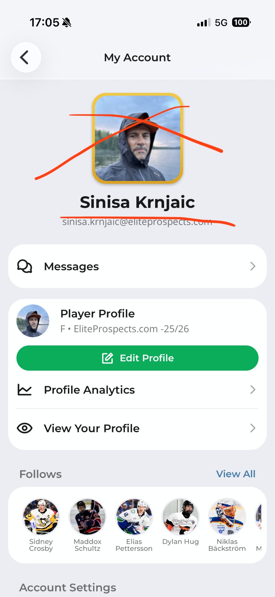 📸 Photo bingo: cat