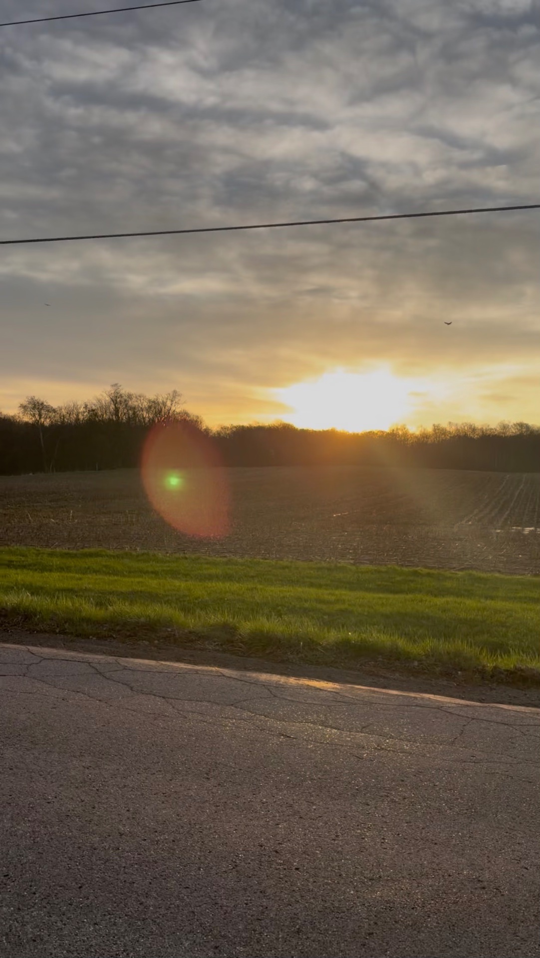 📸 Photo bingo: A sunset/rise