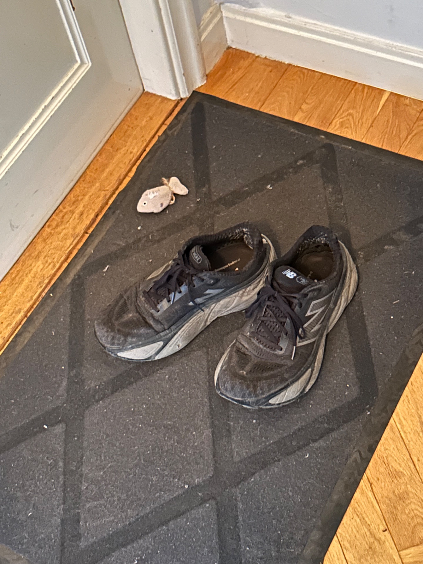 📸 Photo bingo: Training shoes