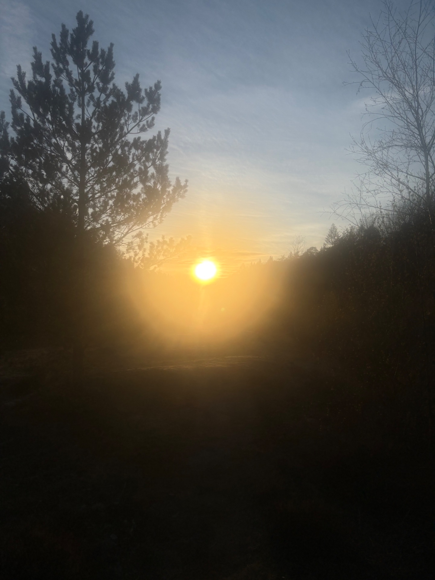 📸 Photo bingo: A sunset/rise