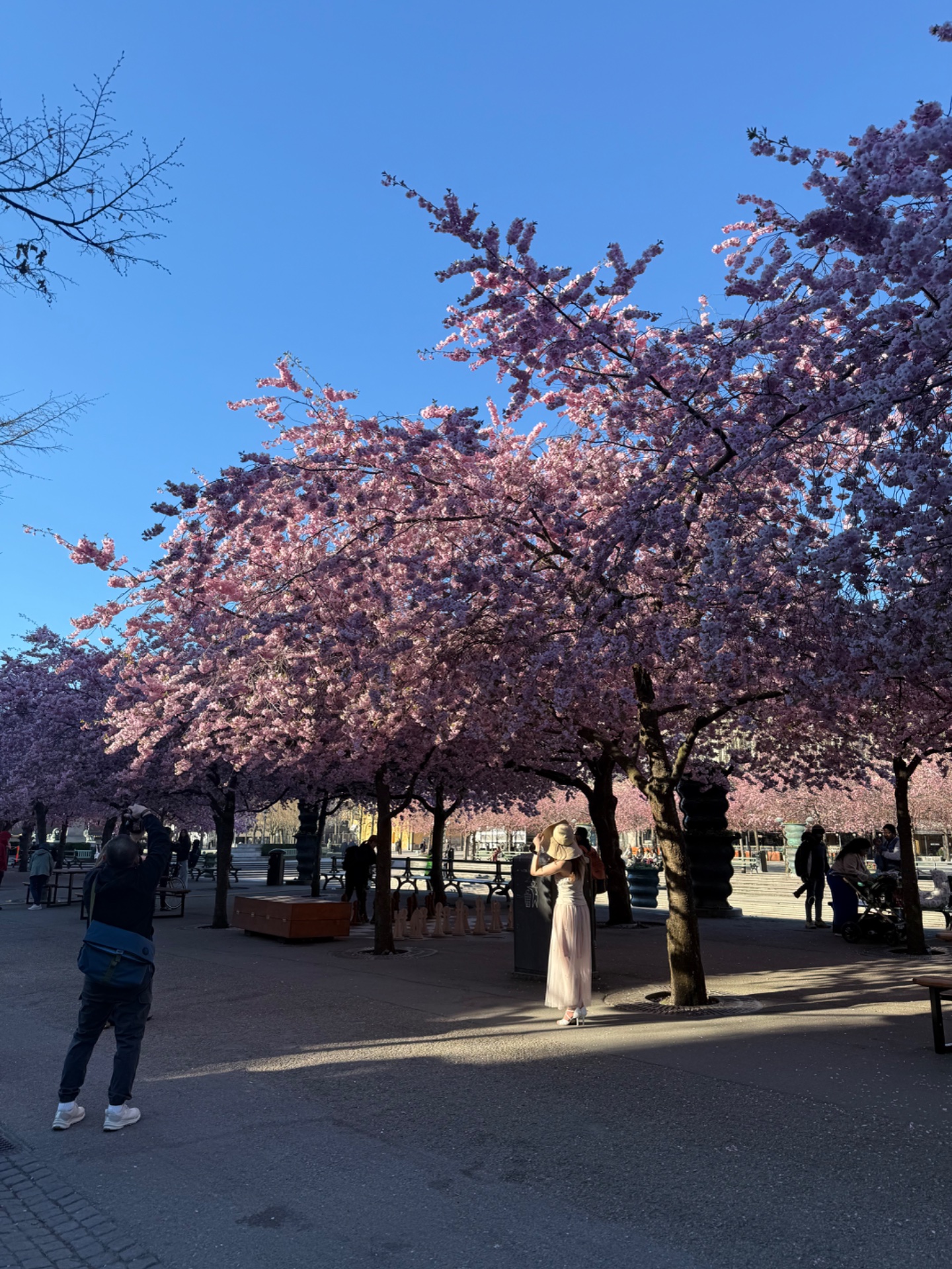 📸 Photo bingo: A sign of spring