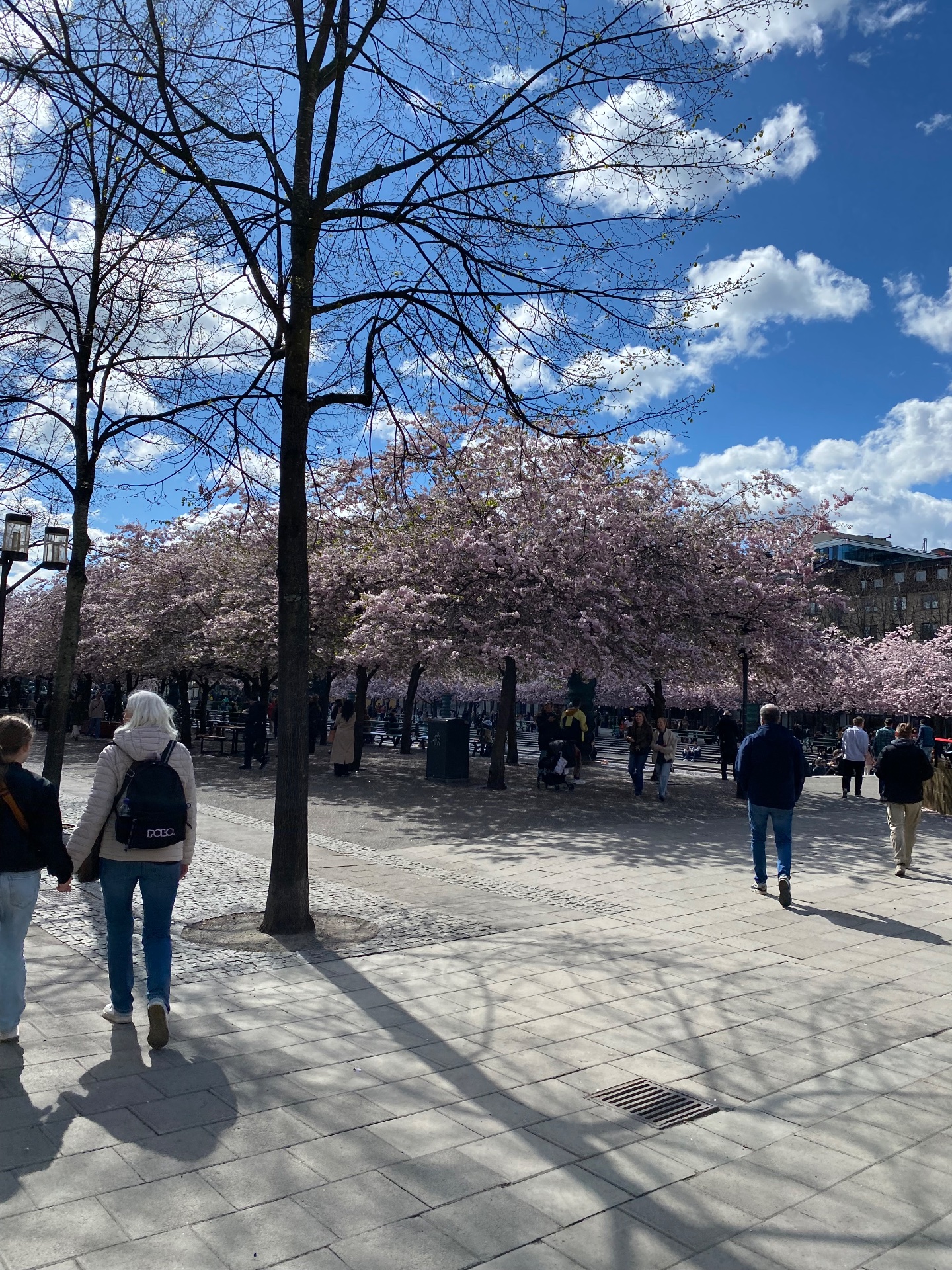 📸 Photo bingo: A sign of spring