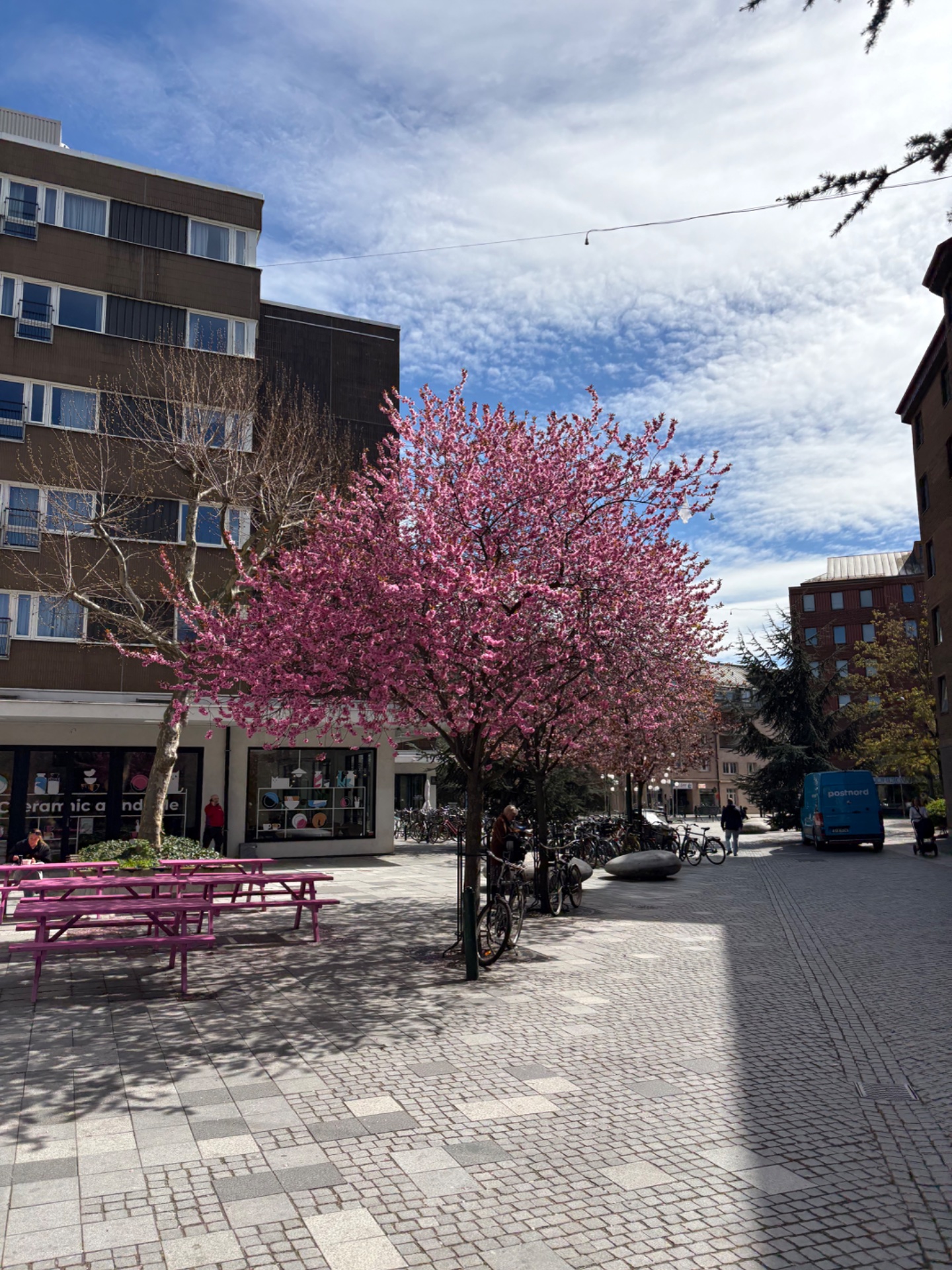 📸 Photo bingo: A sign of spring