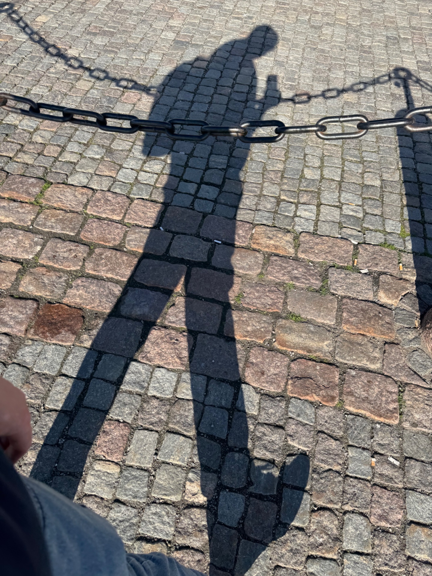 📸 Photo bingo: Your shadow doing something