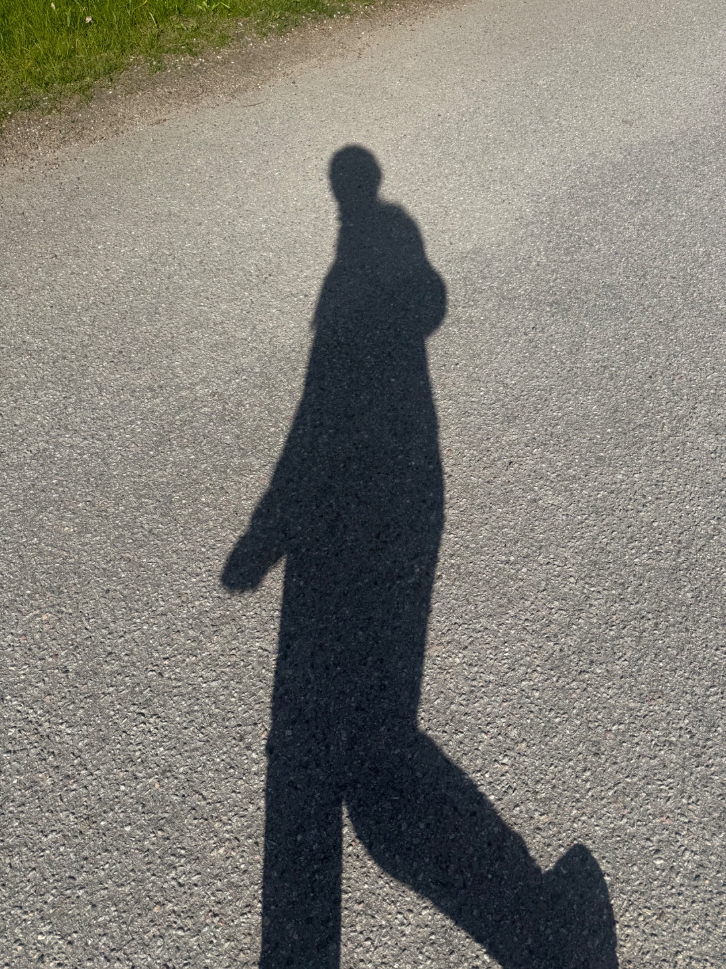 📸 Photo bingo: Your shadow doing something