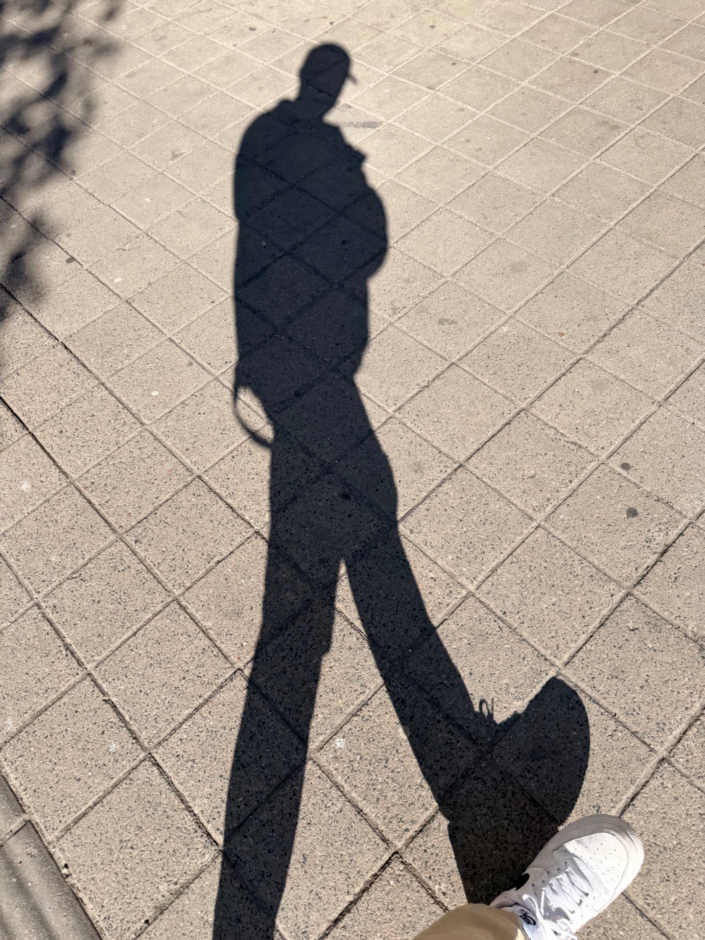 📸 Photo bingo: Your shadow doing something