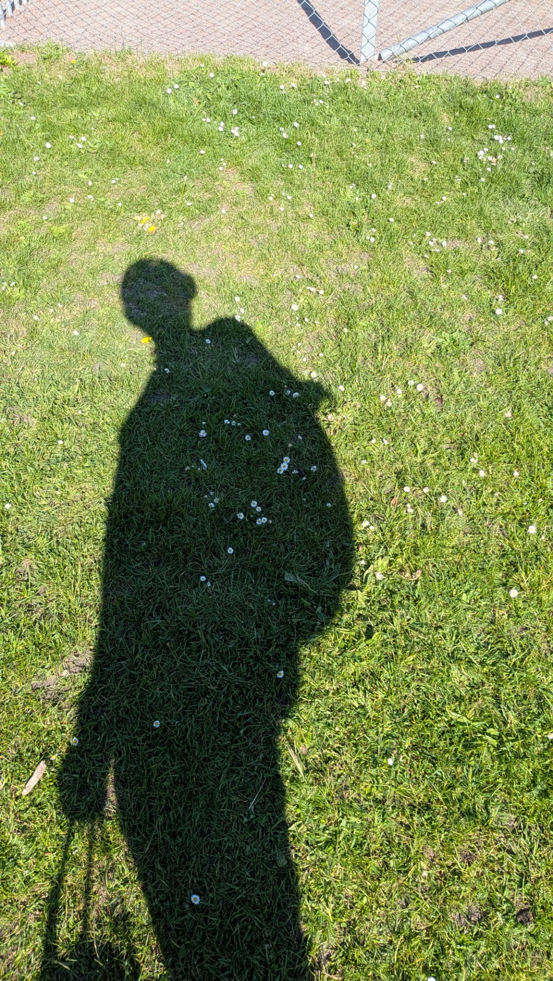 📸 Photo bingo: Your shadow doing something