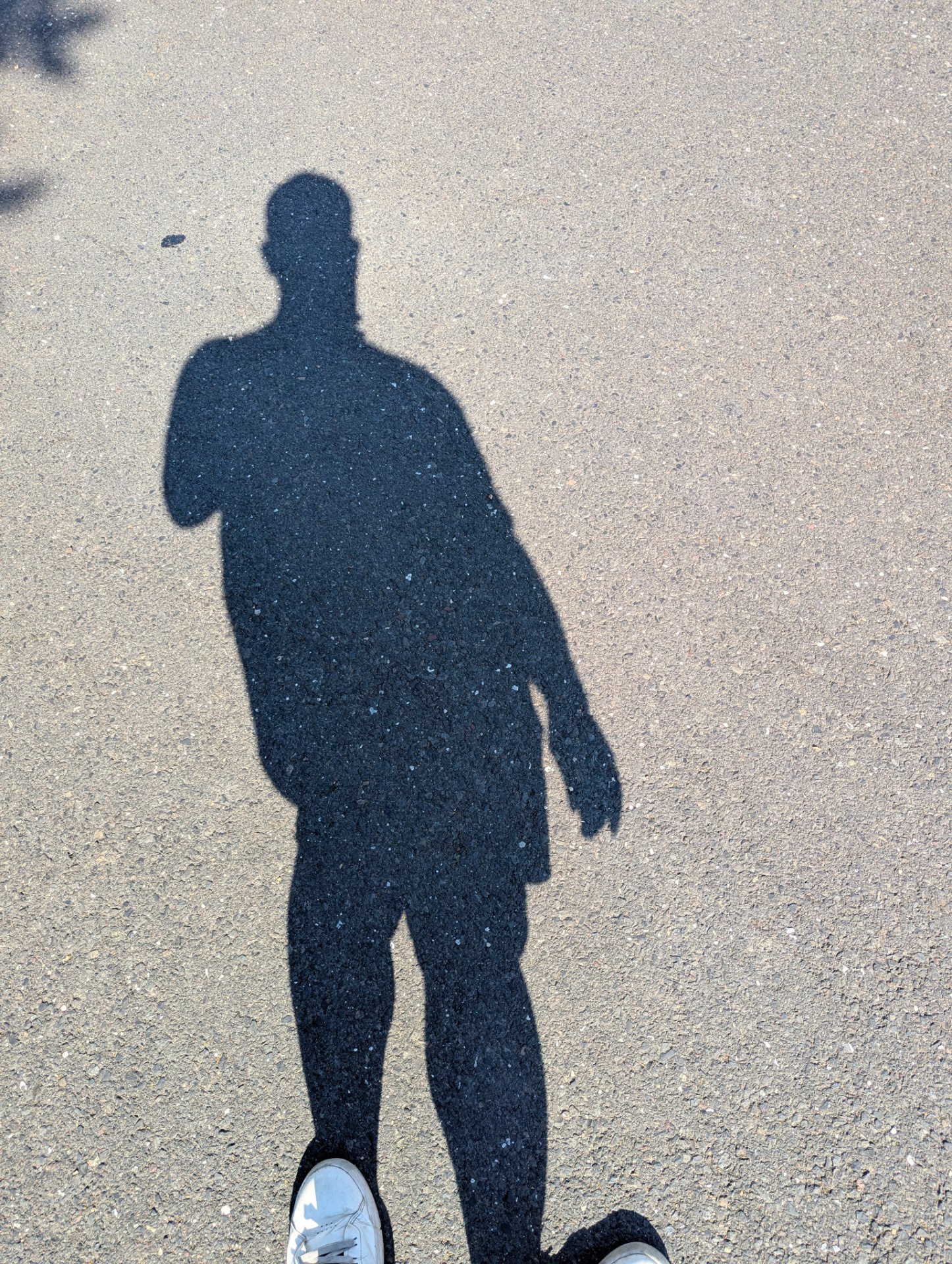 📸 Photo bingo: Your shadow doing something