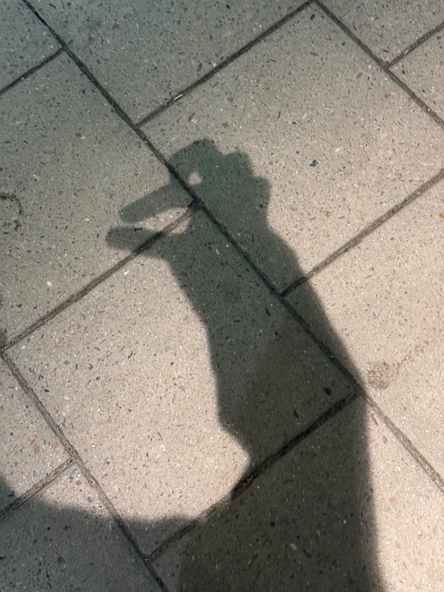 📸 Photo bingo: Your shadow doing something