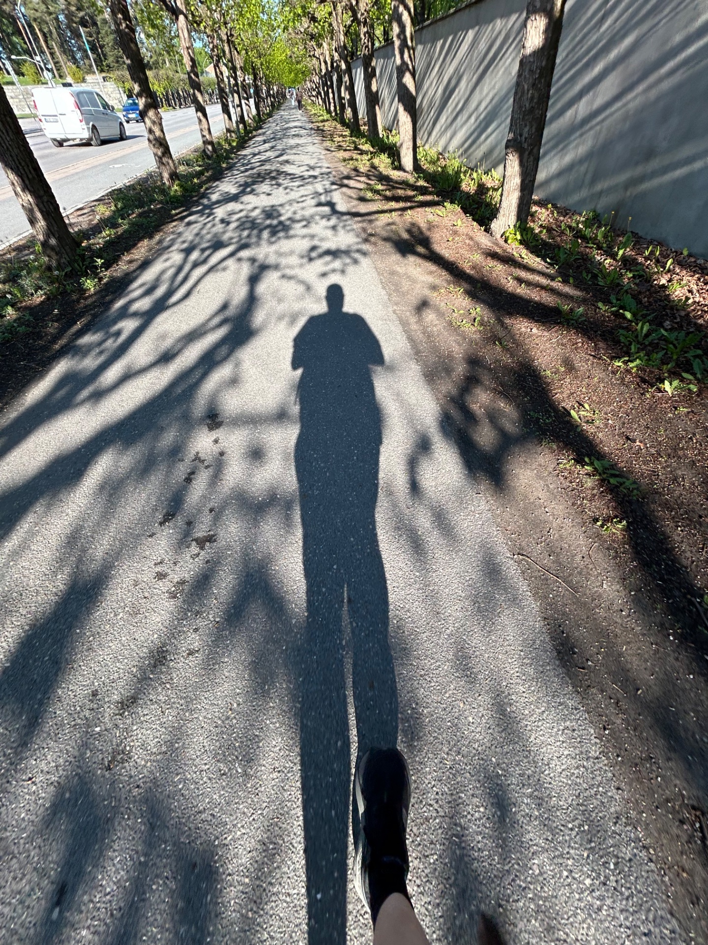📸 Photo bingo: Your shadow doing something
