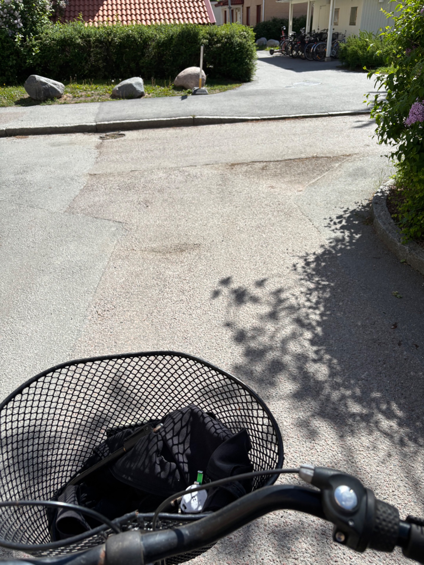 📸 Photo bingo: Someone riding a bicycle