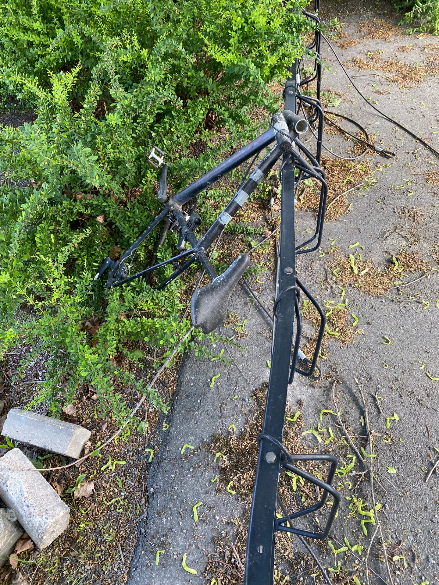 📸 Photo bingo: A bike with parts missing