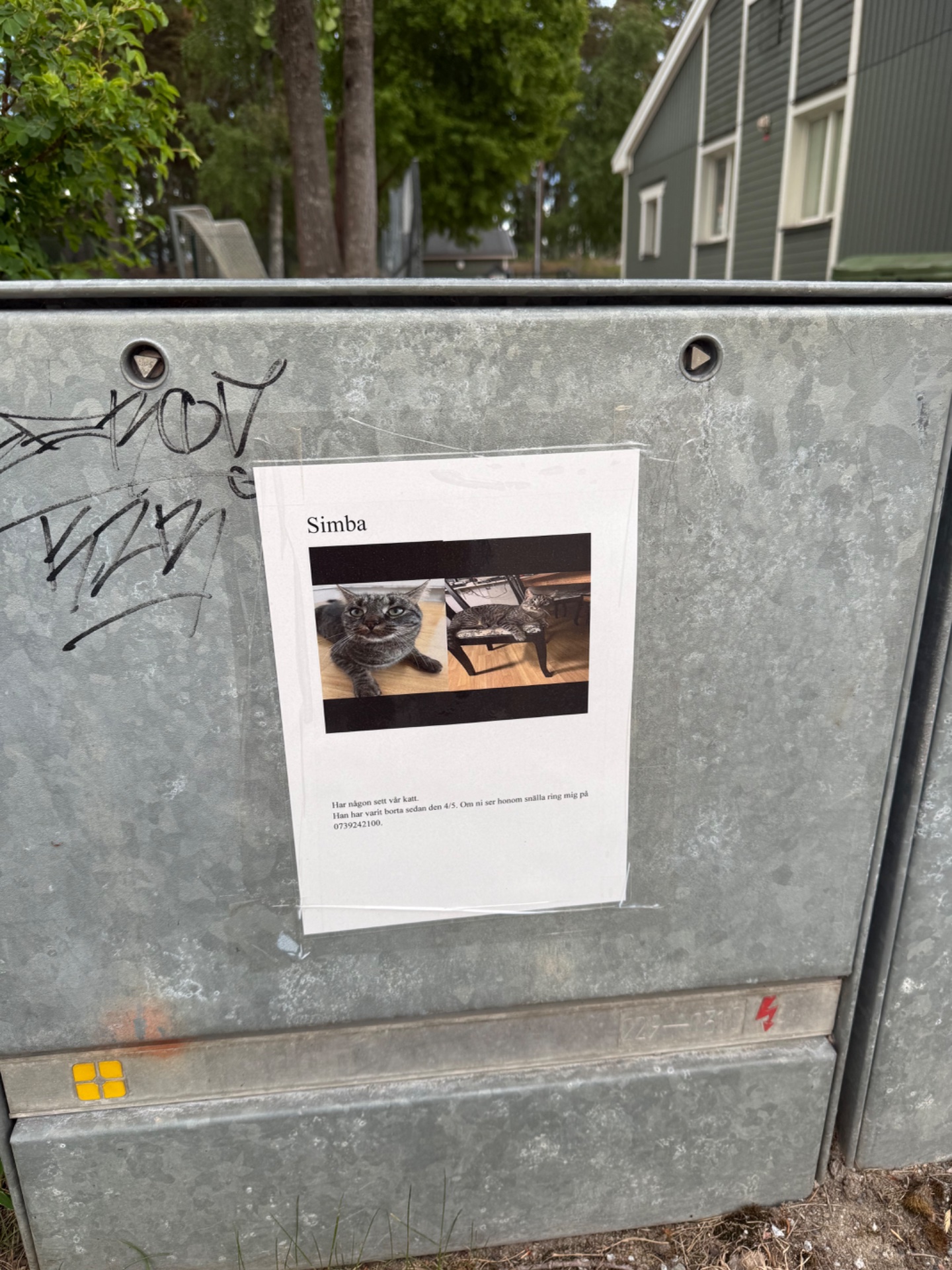 ๐ธ Photo bingo: A "LOST X" poster