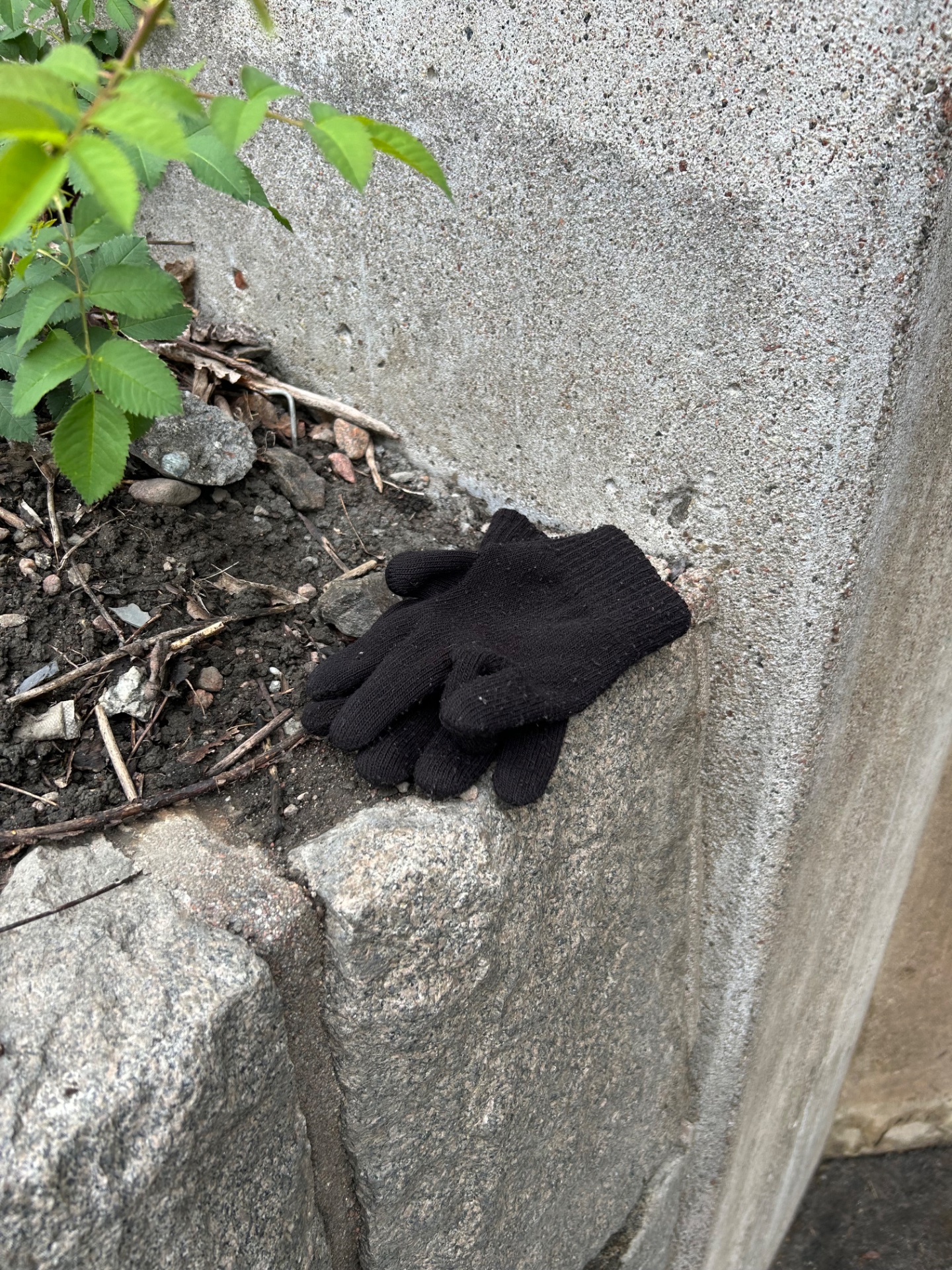 📸 Photo bingo: A lost glove or sock