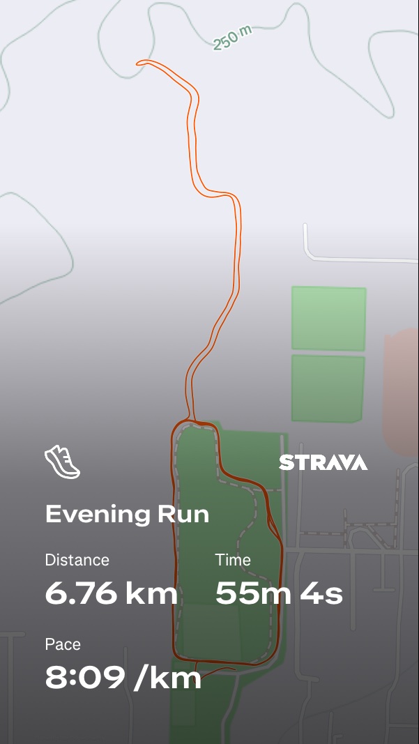 An evening run logged on Strava covering 6.76 km in 55 minutes and 4 seconds at a solid pace of 8:09 per kilometer. Great steady-state cardio workout!