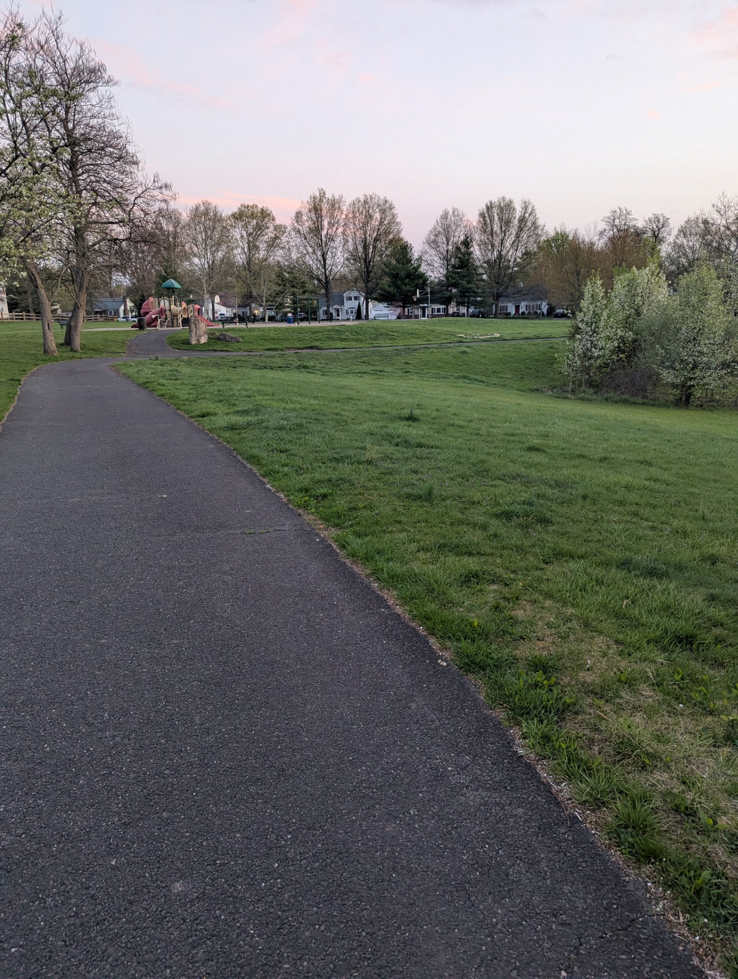 A scenic outdoor walk or run on a paved trail through a beautiful park with lush green grass, trees, and morning light. Perfect for a leisurely cardio session in nature!
