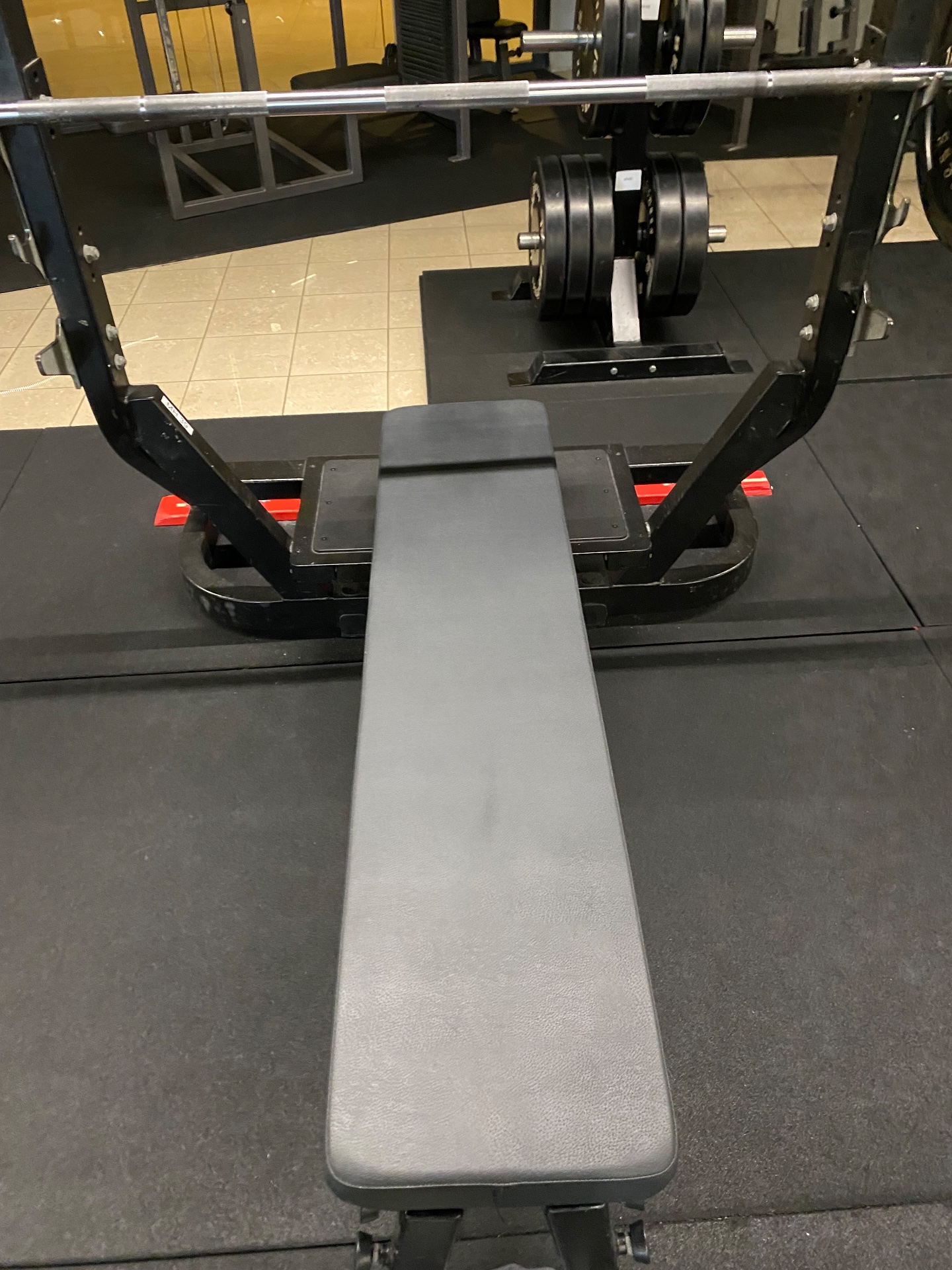 A barbell bench press setup ready for weightlifting! This is classic strength training equipment for upper body resistance work.