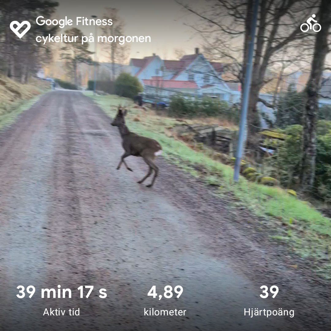 Morning cycling session captured on Google Fitness! A scenic 4.89 km ride through rural countryside with beautiful forest and farm views, completed in 39 minutes with an average heart rate of 39 bpm.