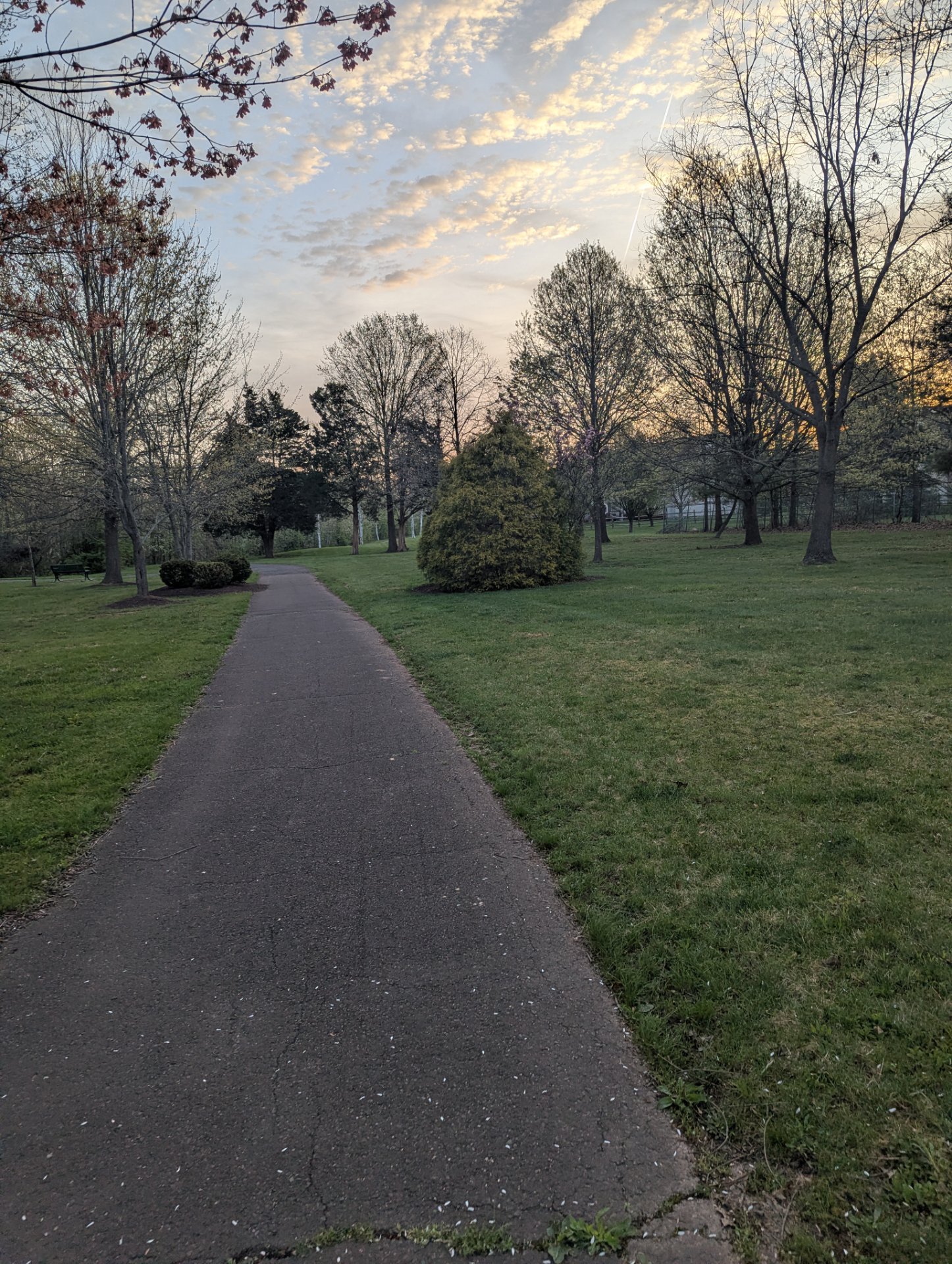 A scenic outdoor walk or run through a beautiful park path lined with trees during golden hour. The paved trail and natural surroundings make for an ideal cardio workout in a serene environment.