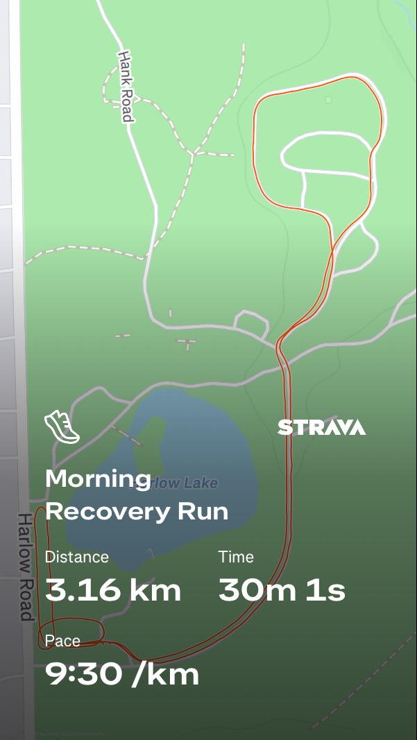 Morning recovery run covering 3.16 km in 30 minutes and 1 second at a steady pace of 9:30/km. A nice easy-paced run captured on Strava!