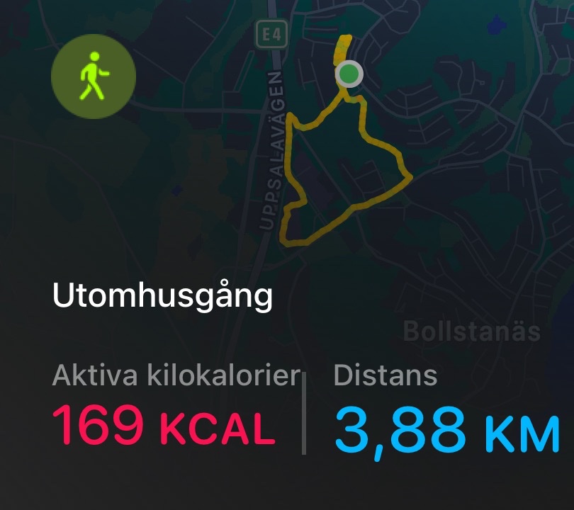 A 3.88 km running session through the Utomhusgång area, burning 169 calories! This is a solid outdoor cardio workout captured from a fitness tracking app.