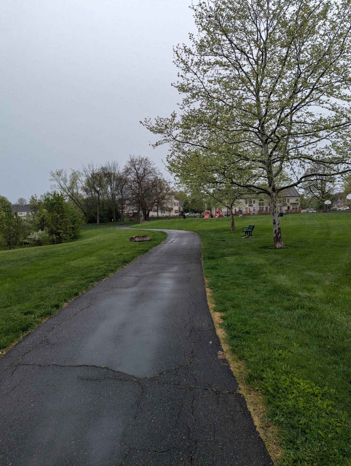 A scenic outdoor walk or run through a beautiful park with a paved path, lush green grass, and mature trees—perfect for logging some aerobic activity in nature!