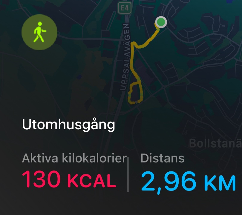 A 2.96 km walking or running workout through Uppsala, Sweden, burning 130 calories. This appears to be a logged outdoor cardio session from a fitness tracking app.
