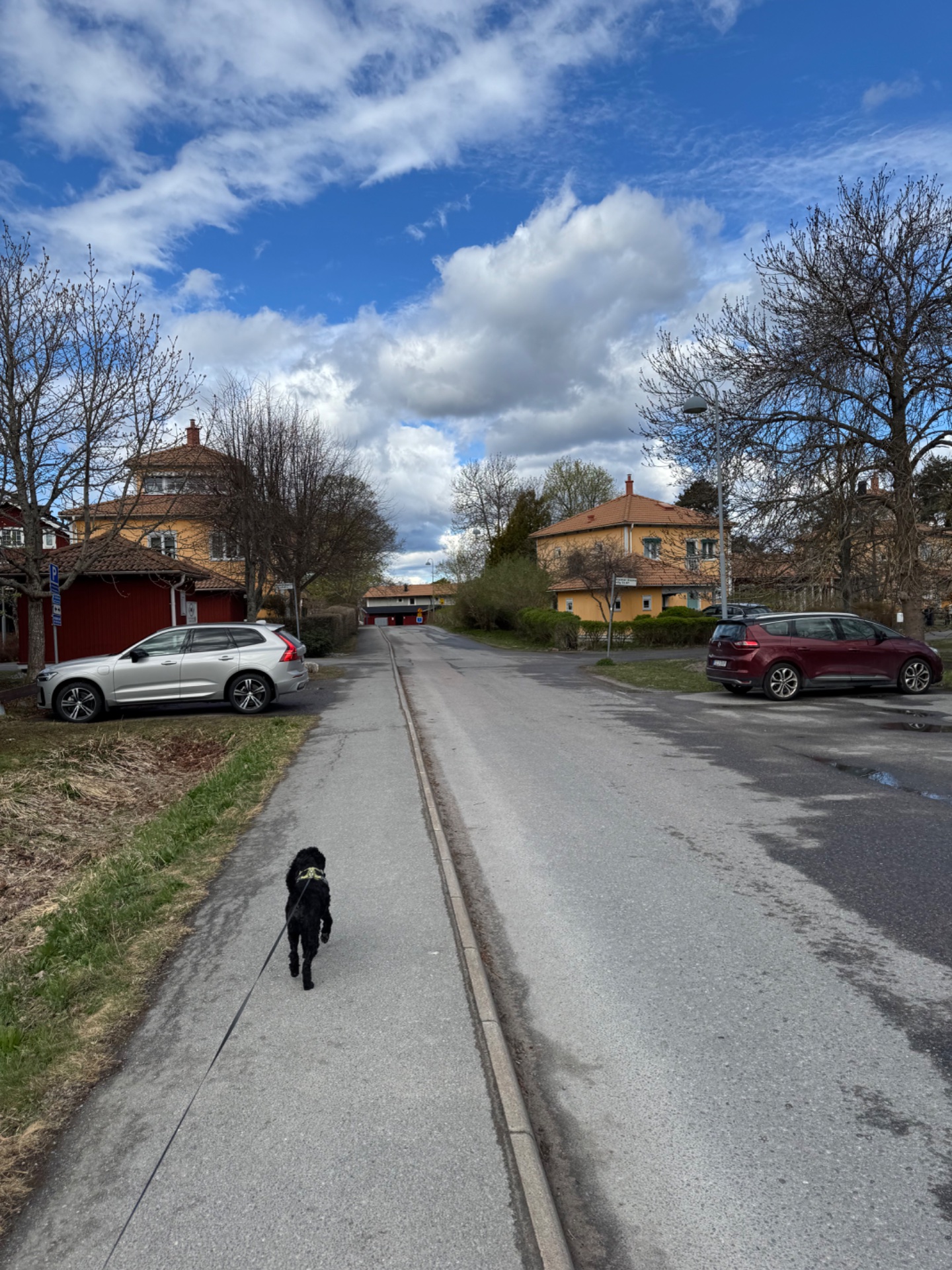 A scenic dog walk through a quiet residential street with beautiful architecture and open sky. Great low-intensity cardio activity combining fresh air and movement!