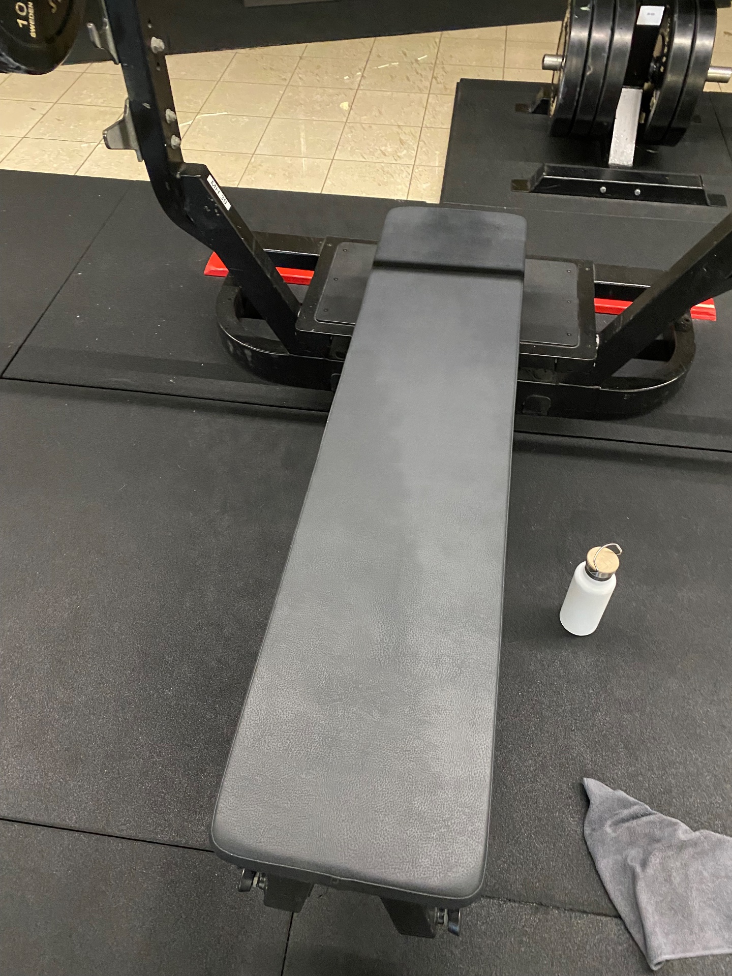 A gym setup ready for weightlifting and resistance training! This shows a flat bench positioned in front of adjustable dumbbells, perfect for bench press exercises and upper body strength work.