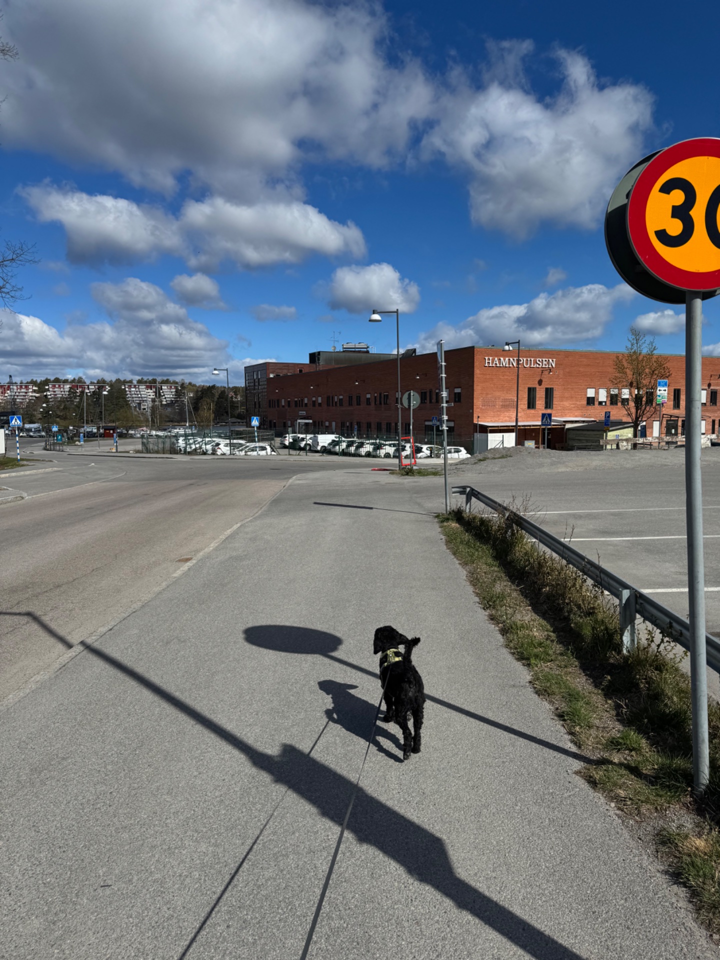 A great outdoor walk or casual cycling session through an urban area on a beautiful sunny day! The person is getting steps in while enjoying the nice weather and cityscape.
