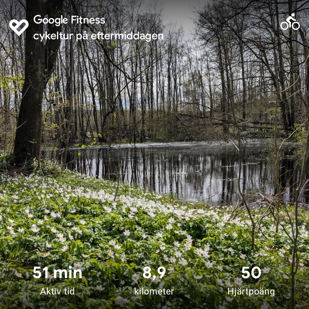 A scenic 51-minute cycling tour through a beautiful forest landscape, covering 8.9 kilometers with an average heart rate of 50 bpm—a perfect leisurely bike ride through nature!