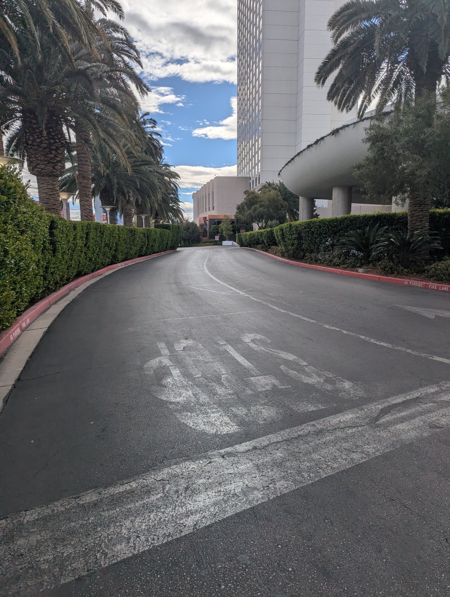 A scenic urban running or walking route through a palm-lined driveway with modern architecture. Perfect for a casual cardio session in a beautiful outdoor setting!