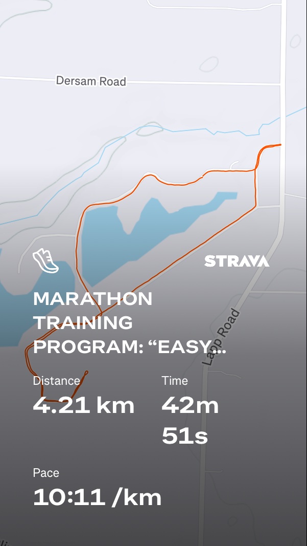 Marathon training run captured via Strava showing a 4.21 km easy pace run completed in 42 minutes 51 seconds at 10:11/km. Great work building that aerobic base!