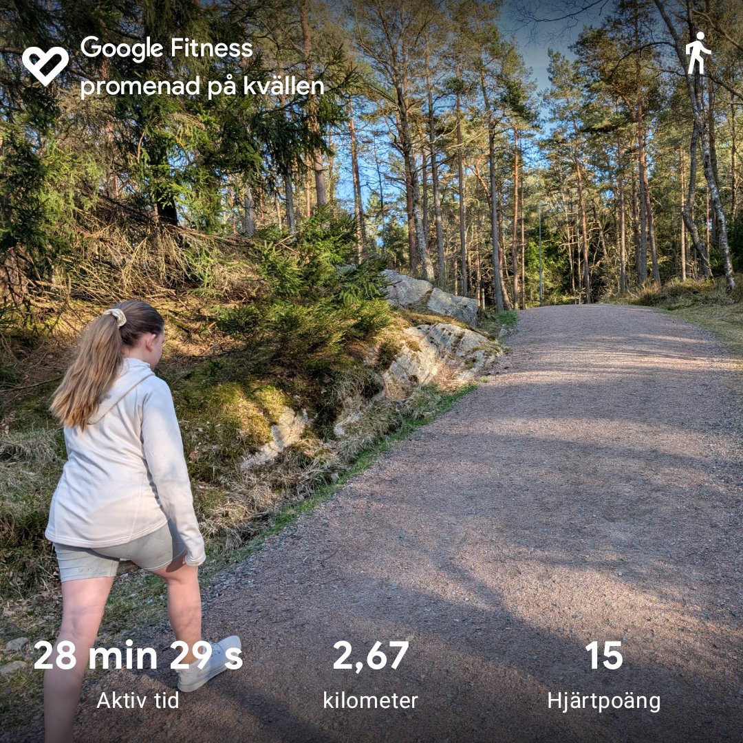 A scenic trail run captured through Google Fitness! This 28-minute outdoor workout covers 2.67 km with a heart rate peaking at 15 bpm on a beautiful forest path—perfect for combining cardio with nature.