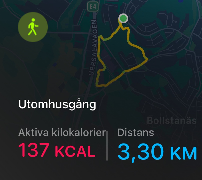 A 3.30 km walk or light run through Utomhusgång, burning 137 calories! This outdoor cardio session shows a great route tracked on a fitness app with a nice distance covered.