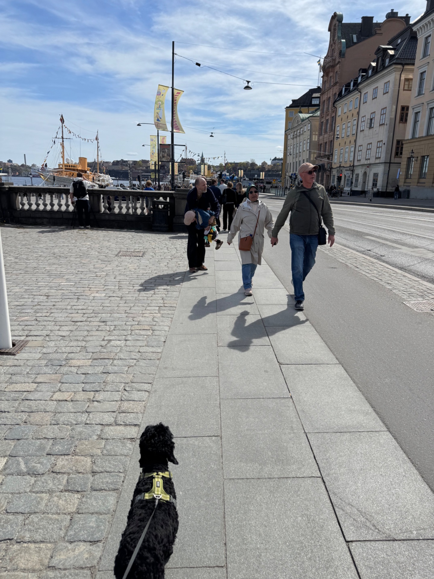 A scenic walk through a beautiful waterfront city district, complete with a furry four-legged companion! This leisurely outdoor stroll combines fresh air, sightseeing, and low-intensity movement.