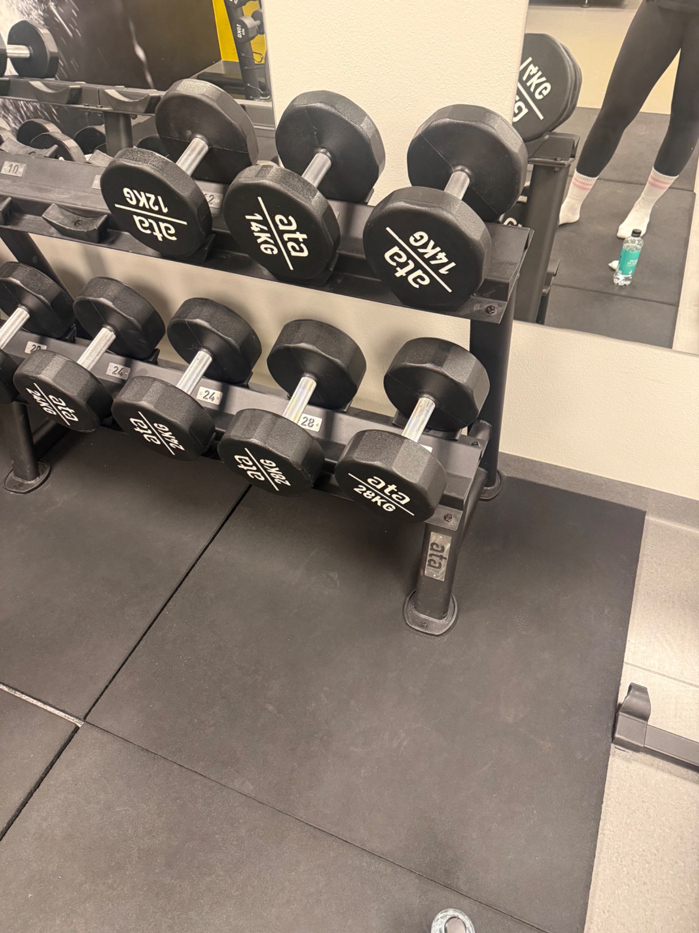 Gym dumbbell workout session featuring a rack of weighted dumbbells ready for resistance training. This is a classic strength training setup for building muscle and power!