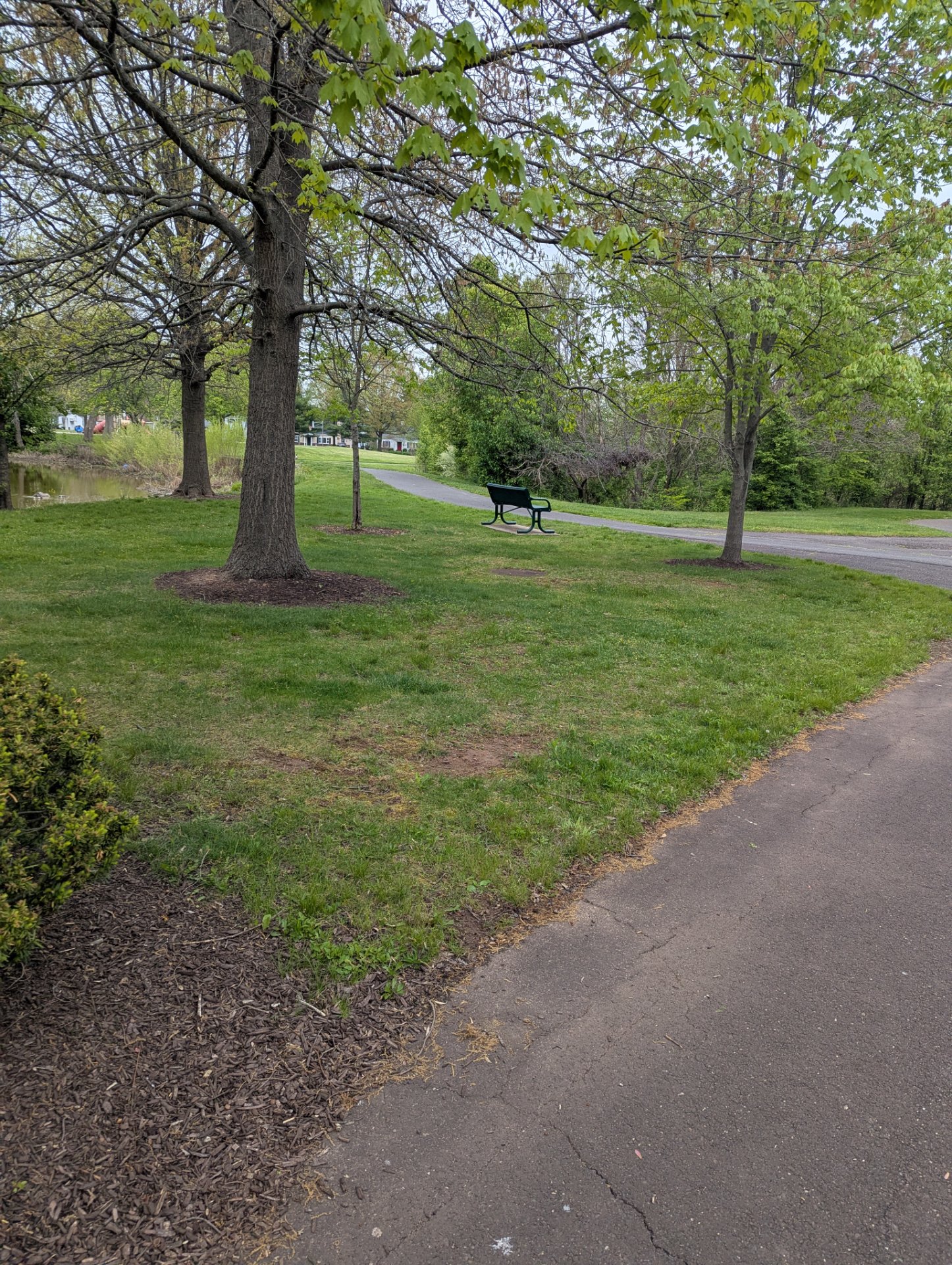 A scenic outdoor walk or run through a beautiful park with paved trails, mature trees, and open green spaces. Perfect for a refreshing cardio session in nature!