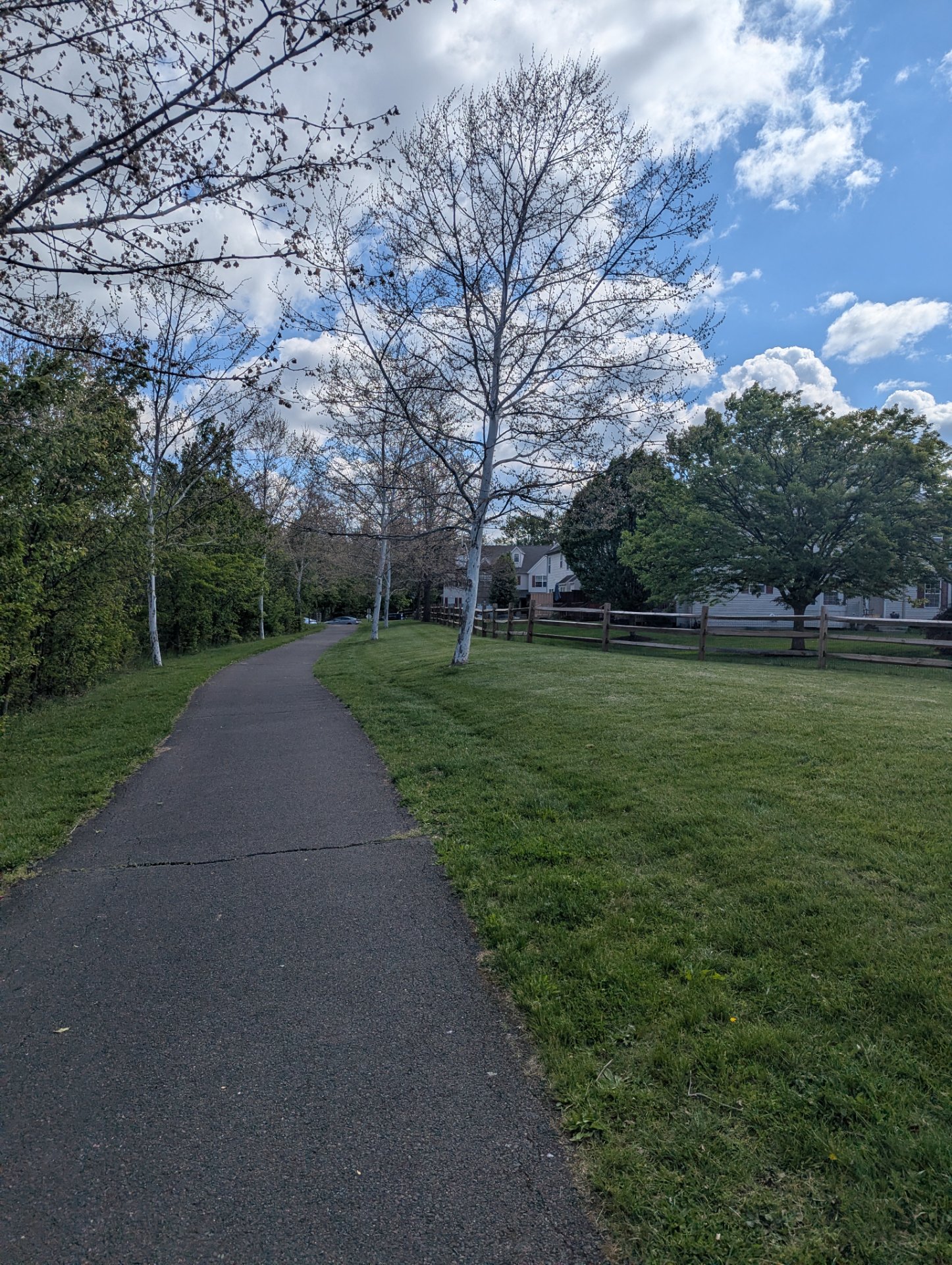 A scenic outdoor walk or run on a paved trail through a peaceful park setting with lush greenery and beautiful spring weather!