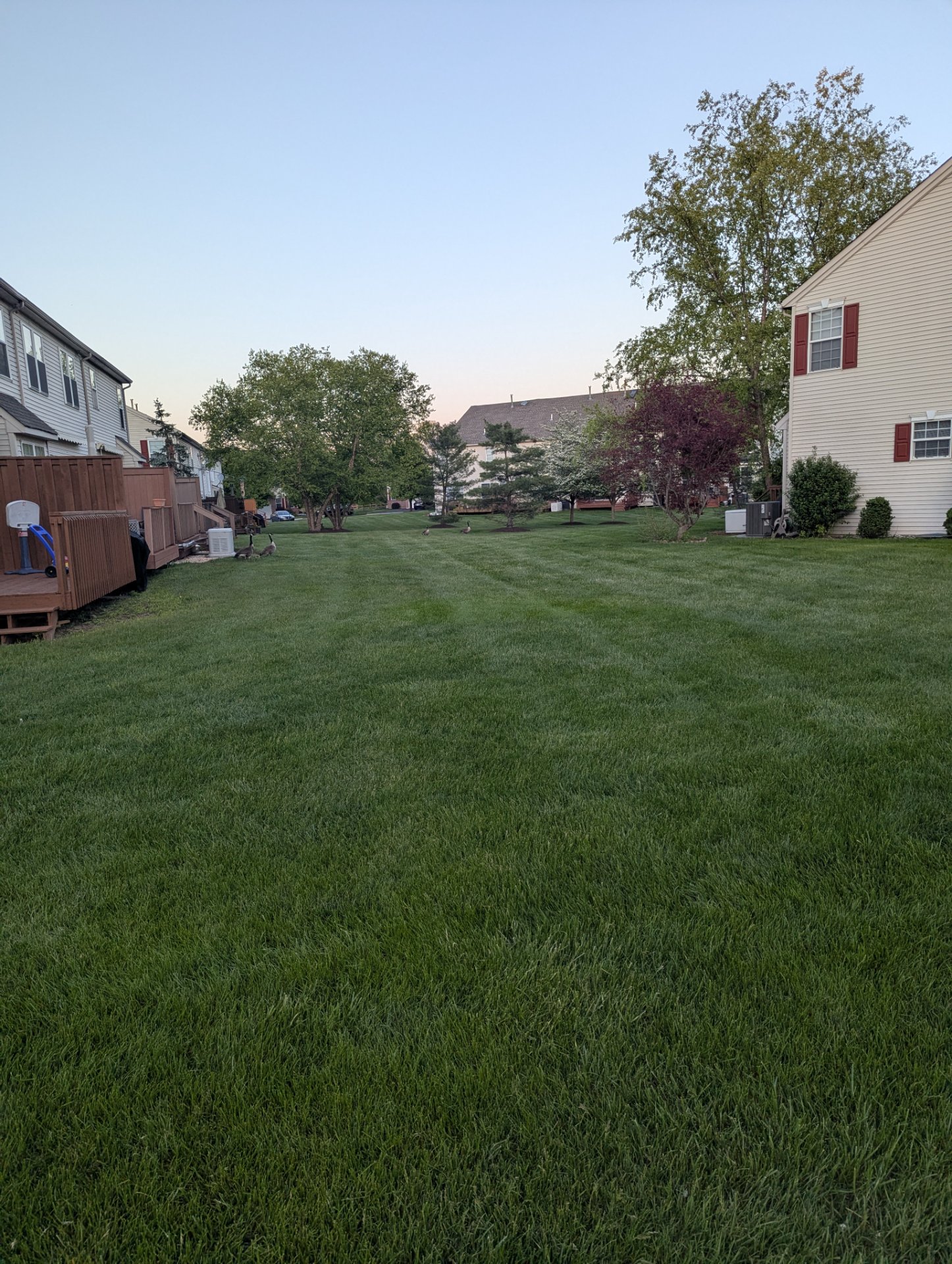Outdoor walking or running through a residential neighborhood at dusk. A great way to get some fresh air and cardio in a scenic, tree-lined area!