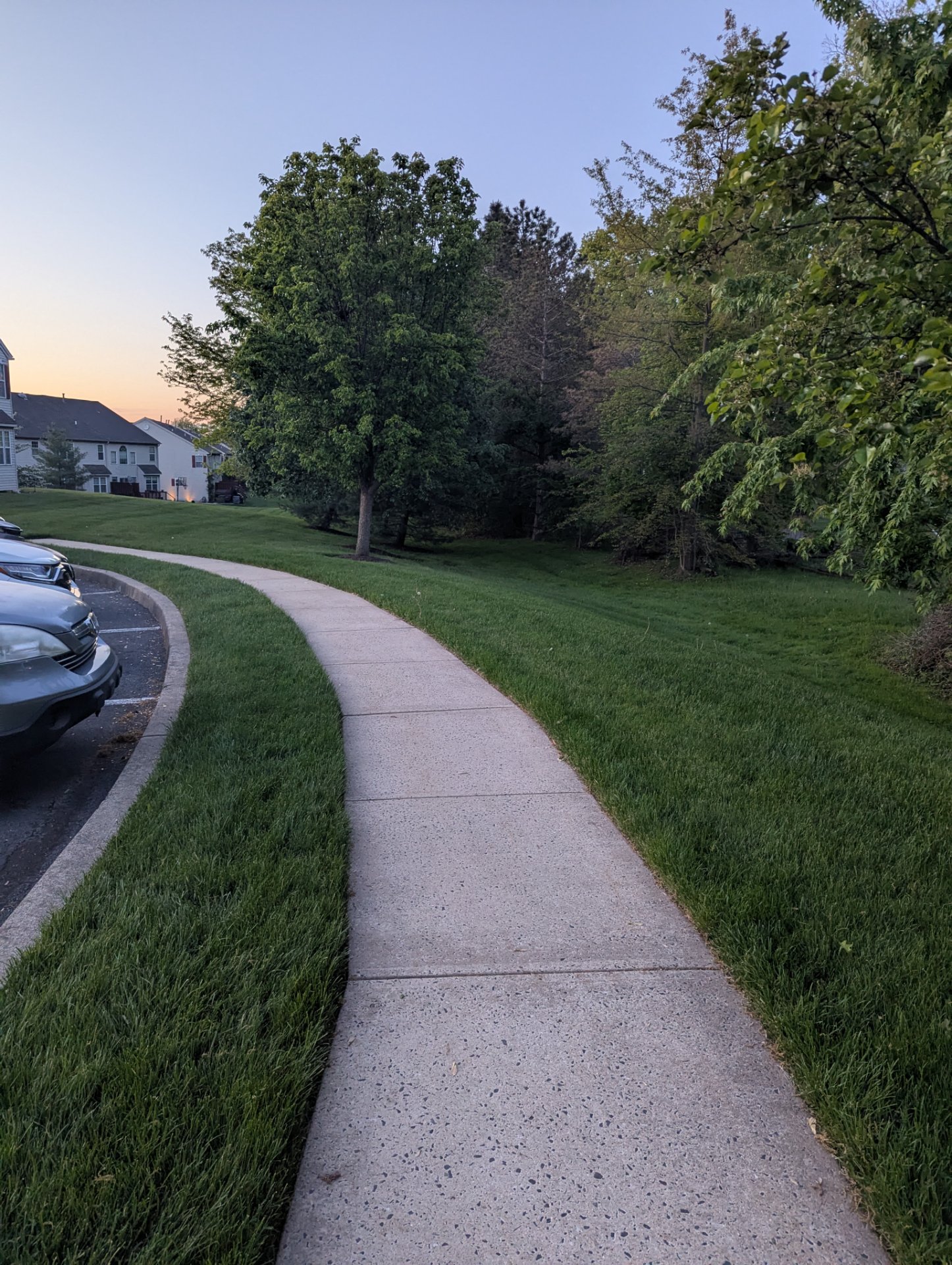 A scenic neighborhood walk or run along a peaceful residential sidewalk at dusk, perfect for building endurance in a calm, tree-lined setting.