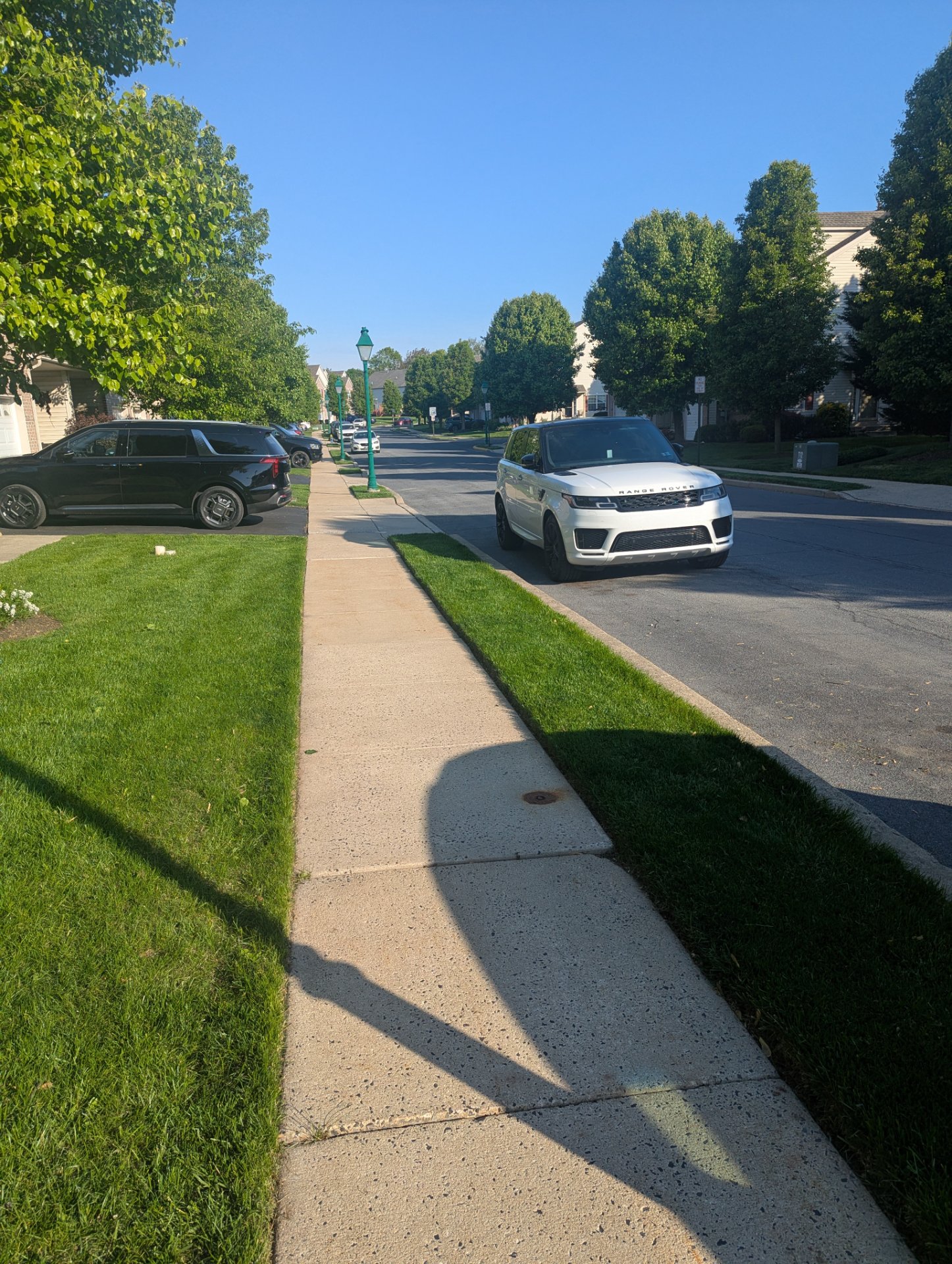 A scenic neighborhood walk on a beautiful sunny day down a tree-lined residential street with clear skies and manicured lawns.