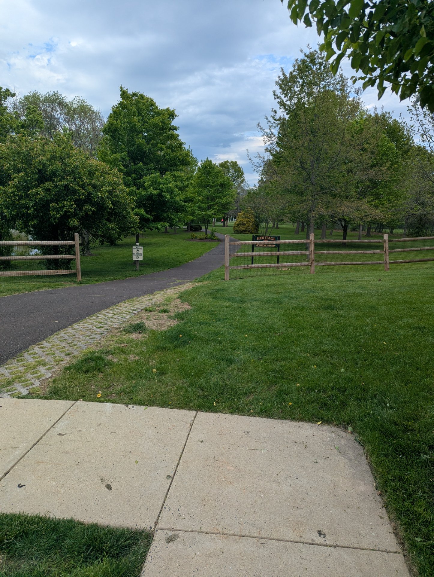 A scenic outdoor walk or run through a beautiful park with tree-lined paths and open green spaces. Perfect for enjoying nature while getting in some cardiovascular activity!