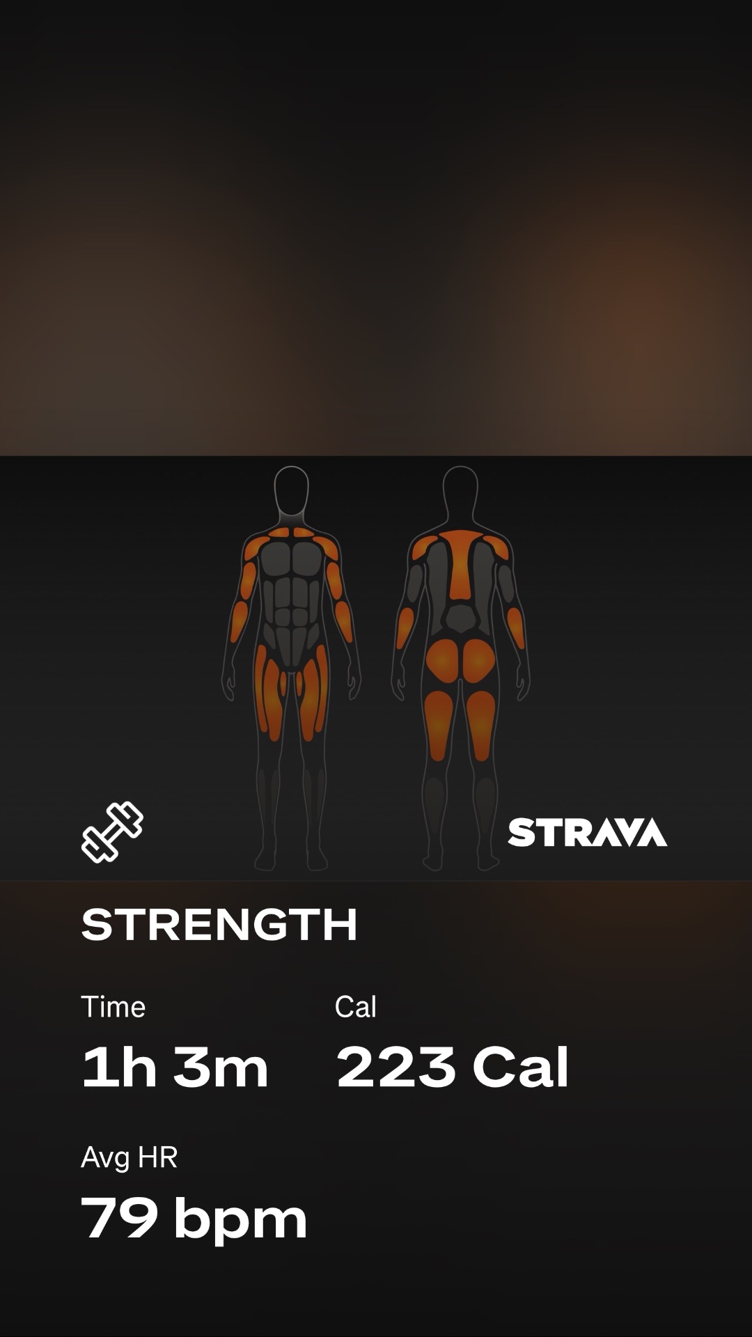A strength training session tracked on Strava showing 1 hour 3 minutes of focused resistance work with 223 calories burned and an average heart rate of 79 bpm. The muscle group visualization highlights comprehensive full-body engagement across chest, shoulders, arms, core, and legs.