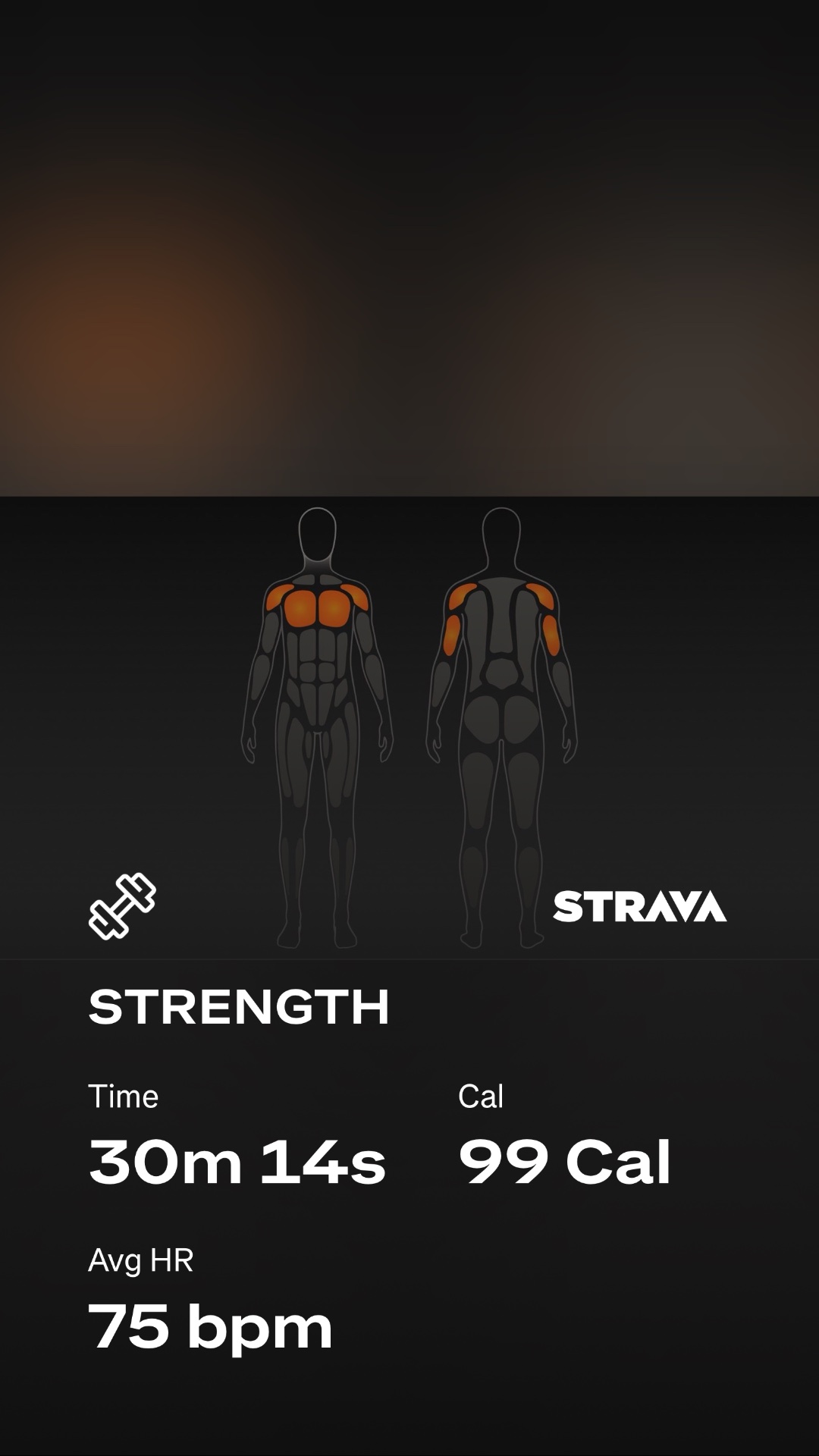 A focused strength training session lasting 30 minutes that targeted chest and arm muscles, burning 99 calories with an average heart rate of 75 bpm. This Strava workout shows solid resistance training engagement!