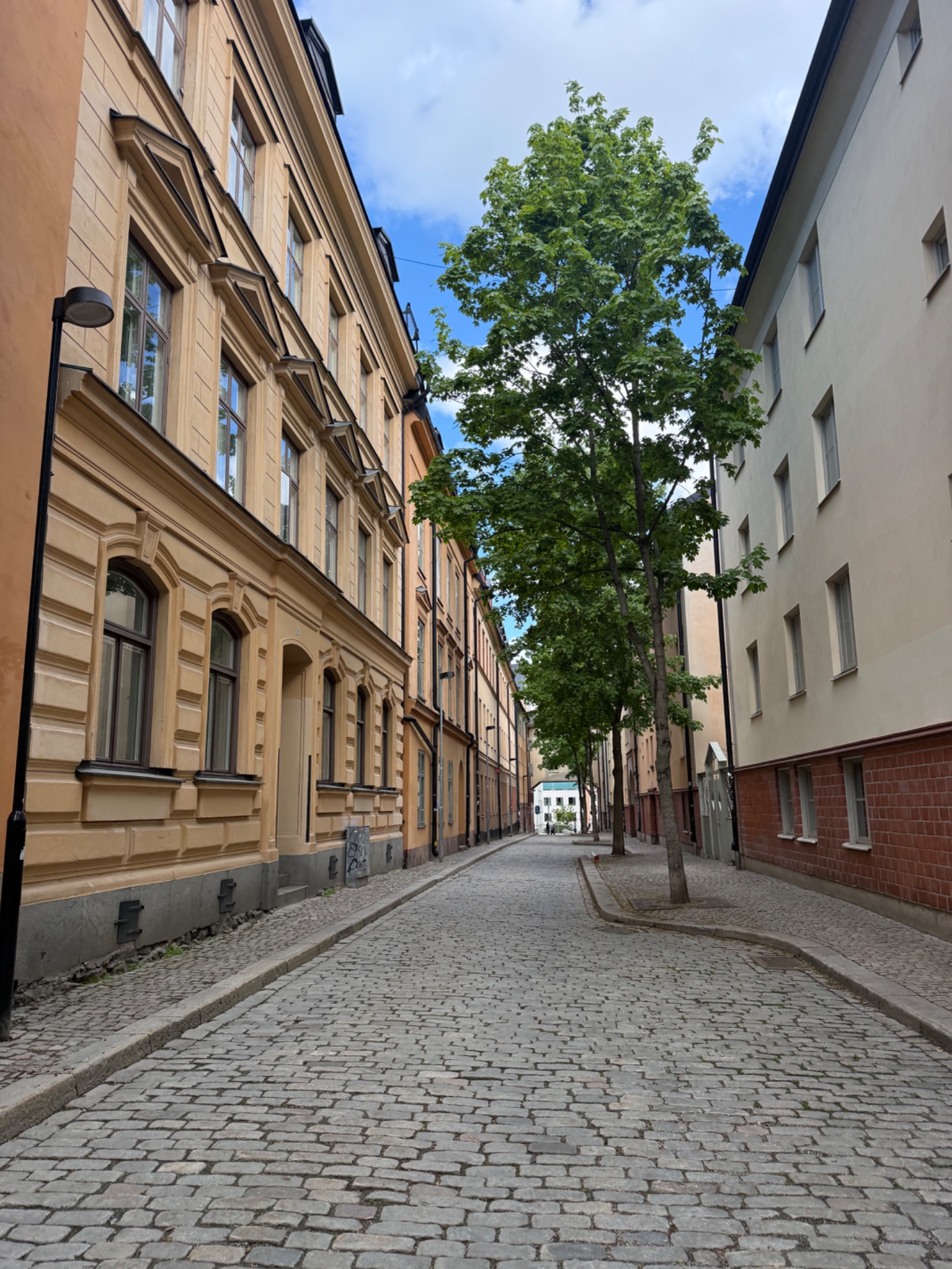 A scenic urban walking or running route through a charming European cobblestone street lined with historic buildings. Perfect for a casual cardio workout in an aesthetically pleasing environment!