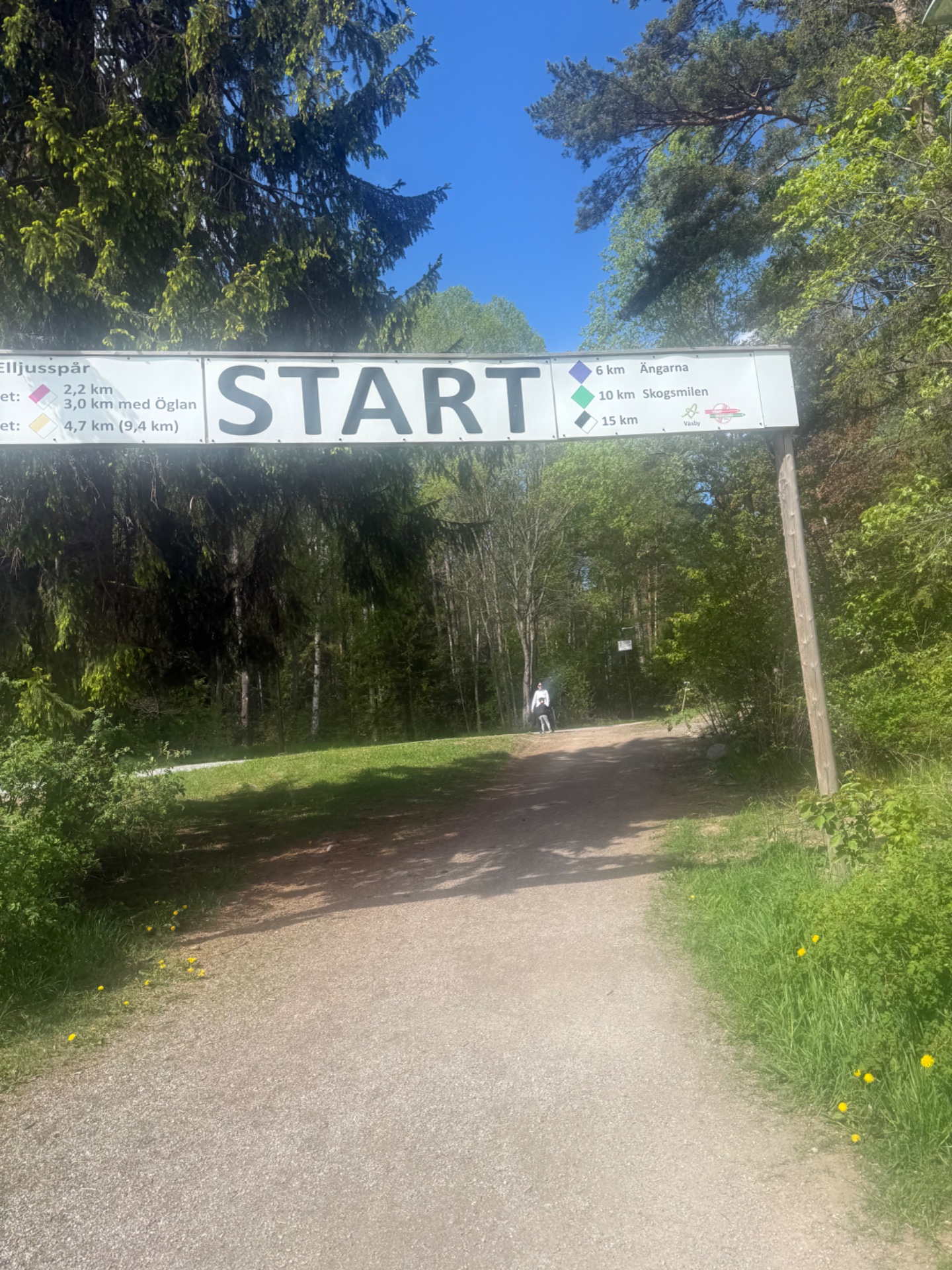 A scenic outdoor running or hiking event starting at a trail marked with distance options (6km, 10km, 15km). The lush forest surroundings and START banner indicate an organized cardio activity through nature.