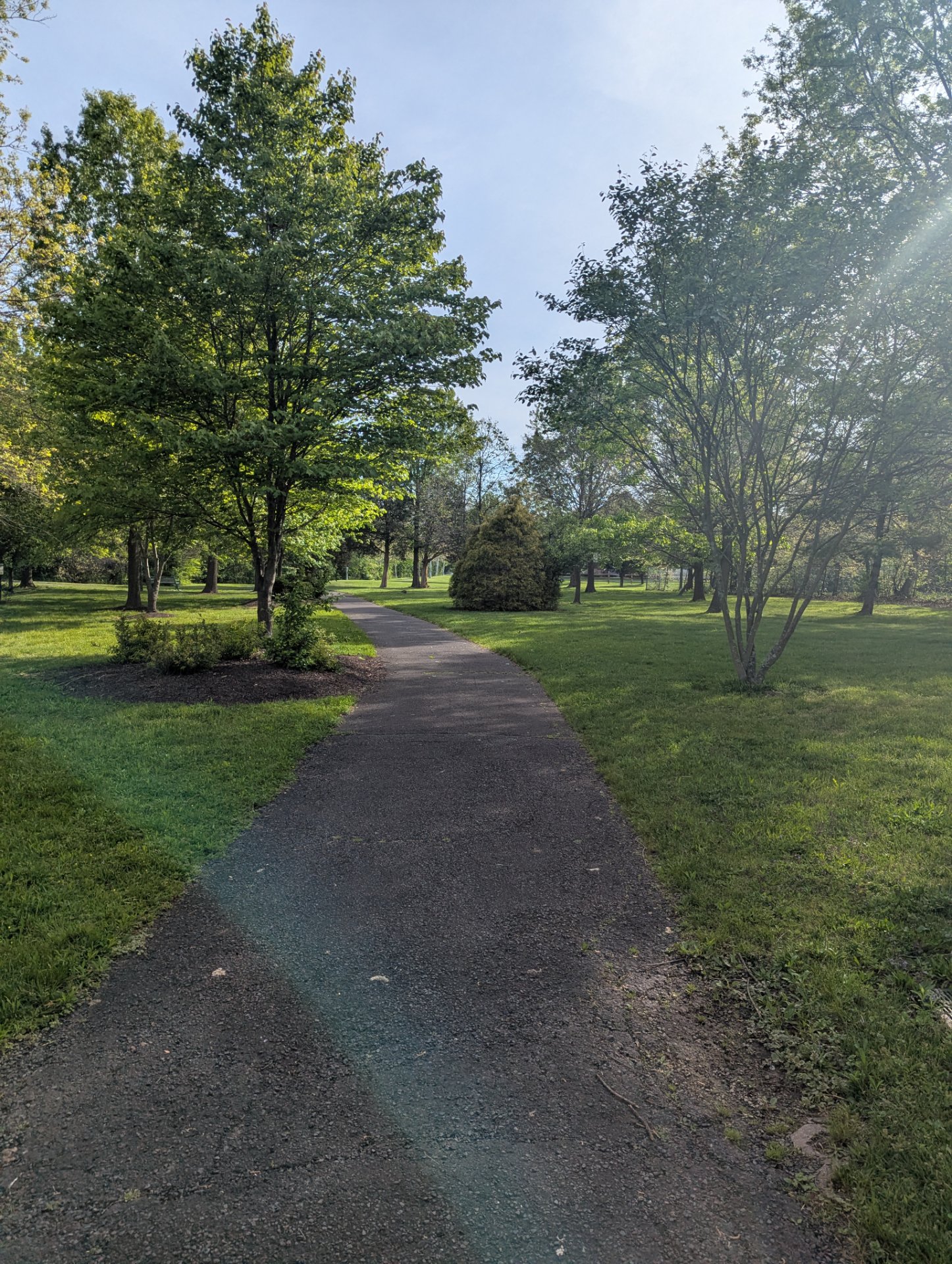 A scenic park path perfect for running, walking, or cycling through beautiful tree-lined trails. This outdoor environment is ideal for cardio workouts with its peaceful, open setting and well-maintained pavement.