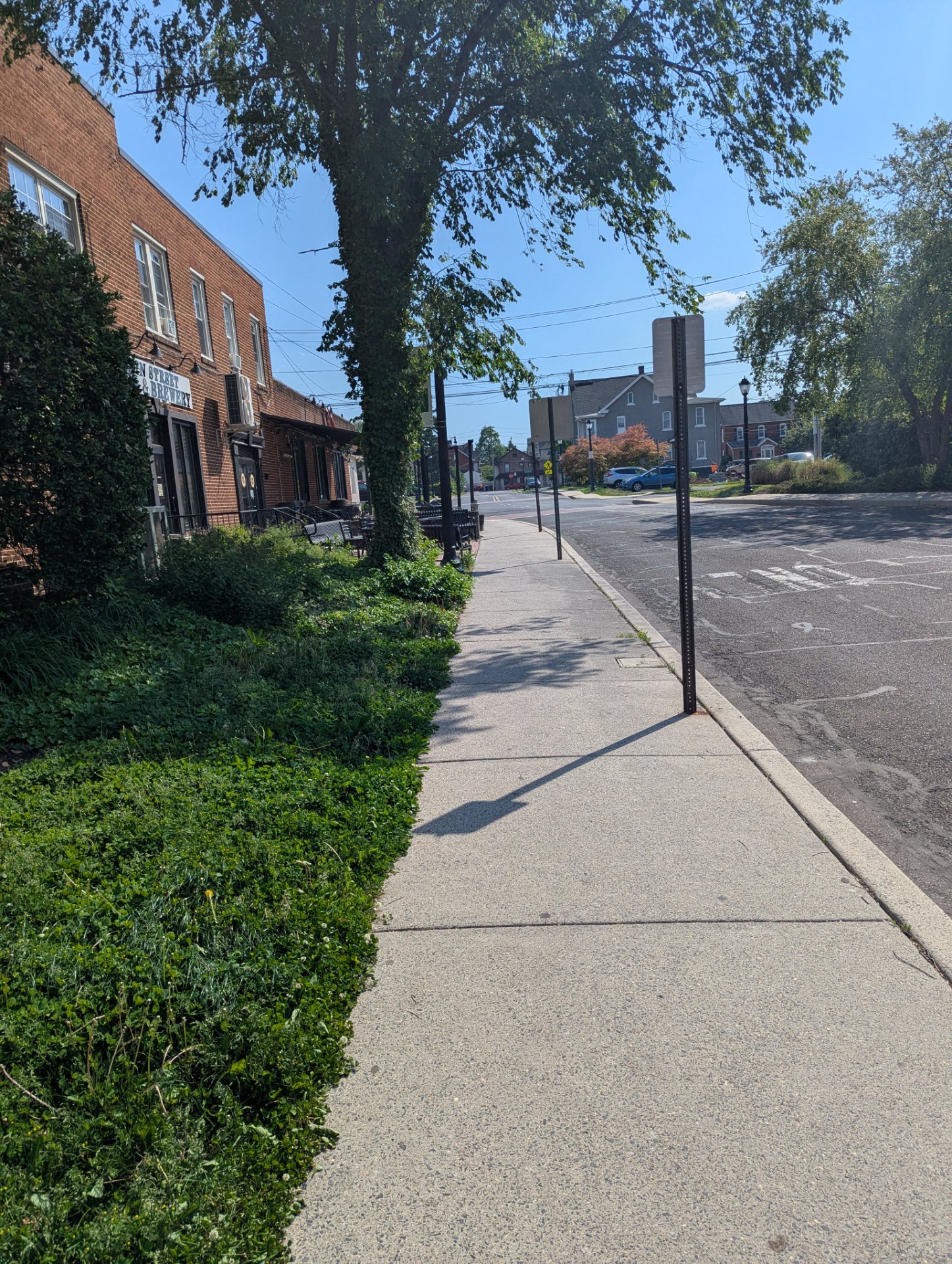 A scenic urban walking or running route through a charming tree-lined street with historic brick buildings and clear skies—perfect for an outdoor cardio session!