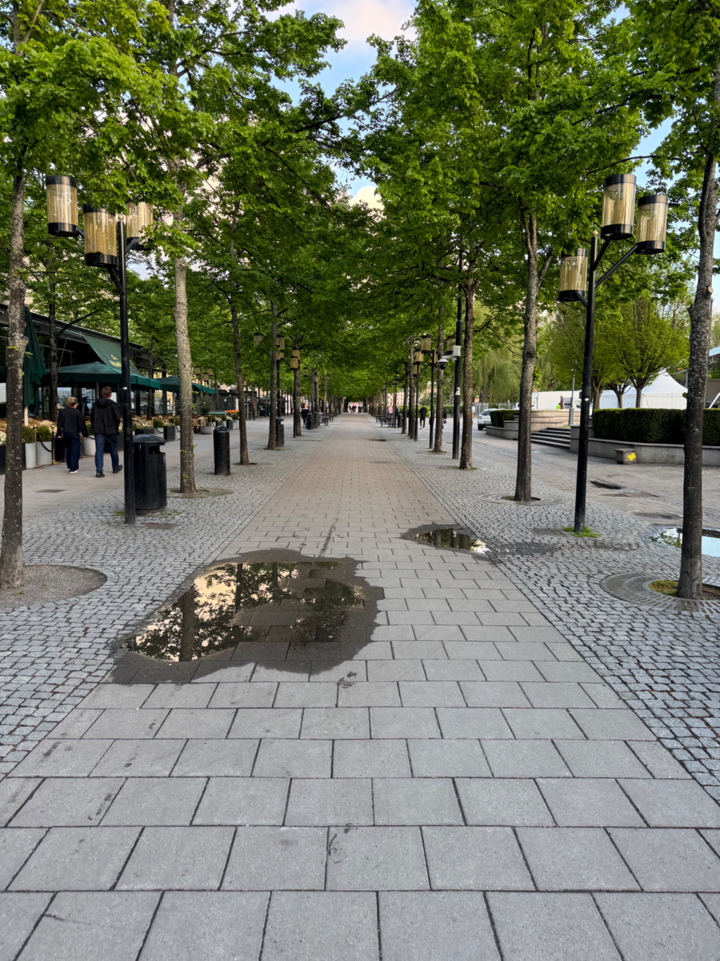 A scenic outdoor walk or stroll through a beautiful tree-lined urban promenade with cafes and shops. Perfect for a leisurely cardio session in a picturesque setting!